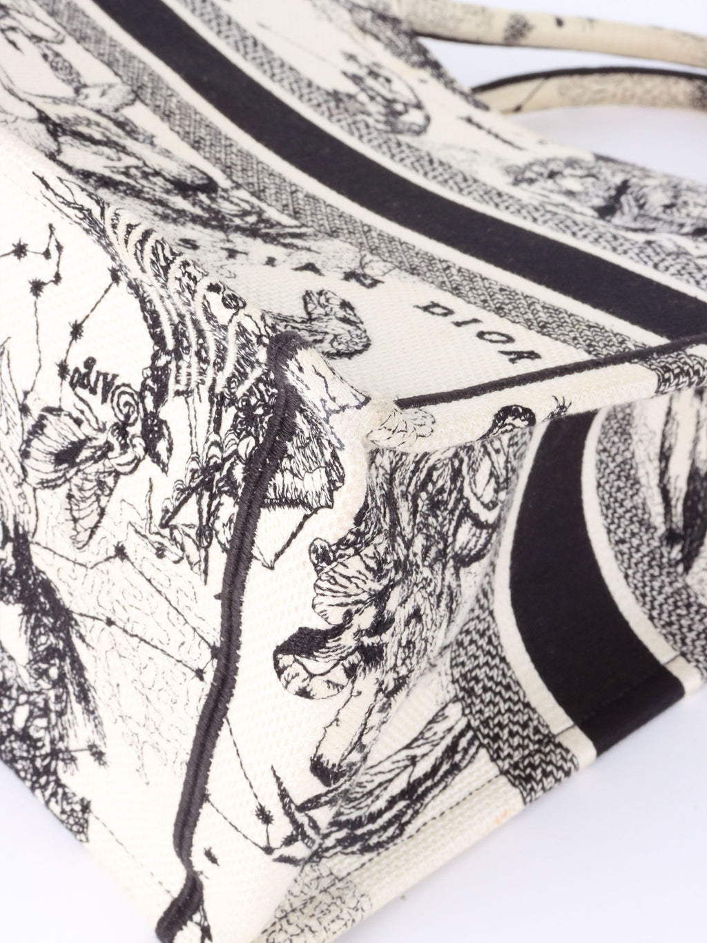 Dior Latte and Black Zodiac Medium Book Tote.