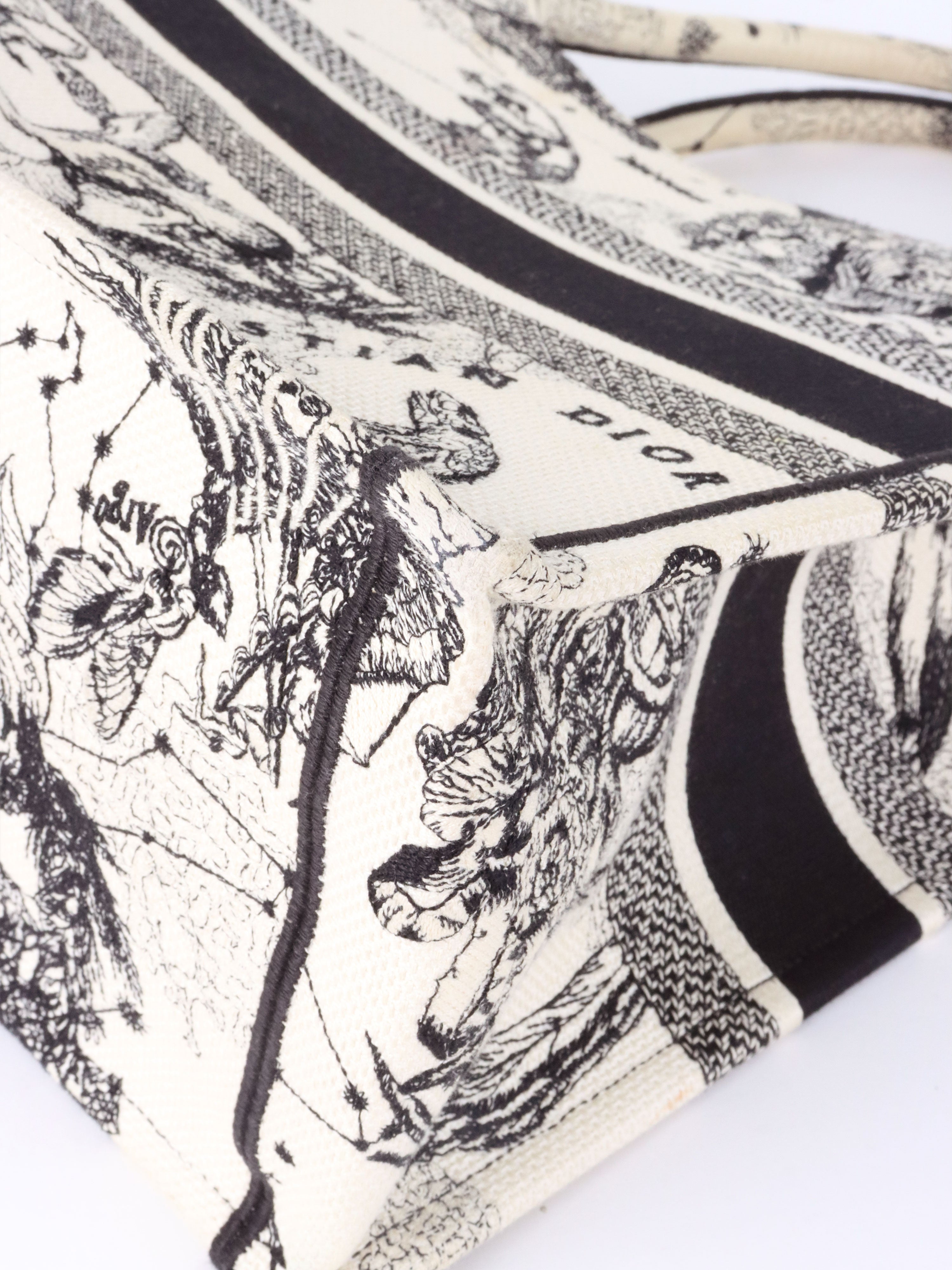 Dior Latte and Black Zodiac Medium Book Tote.