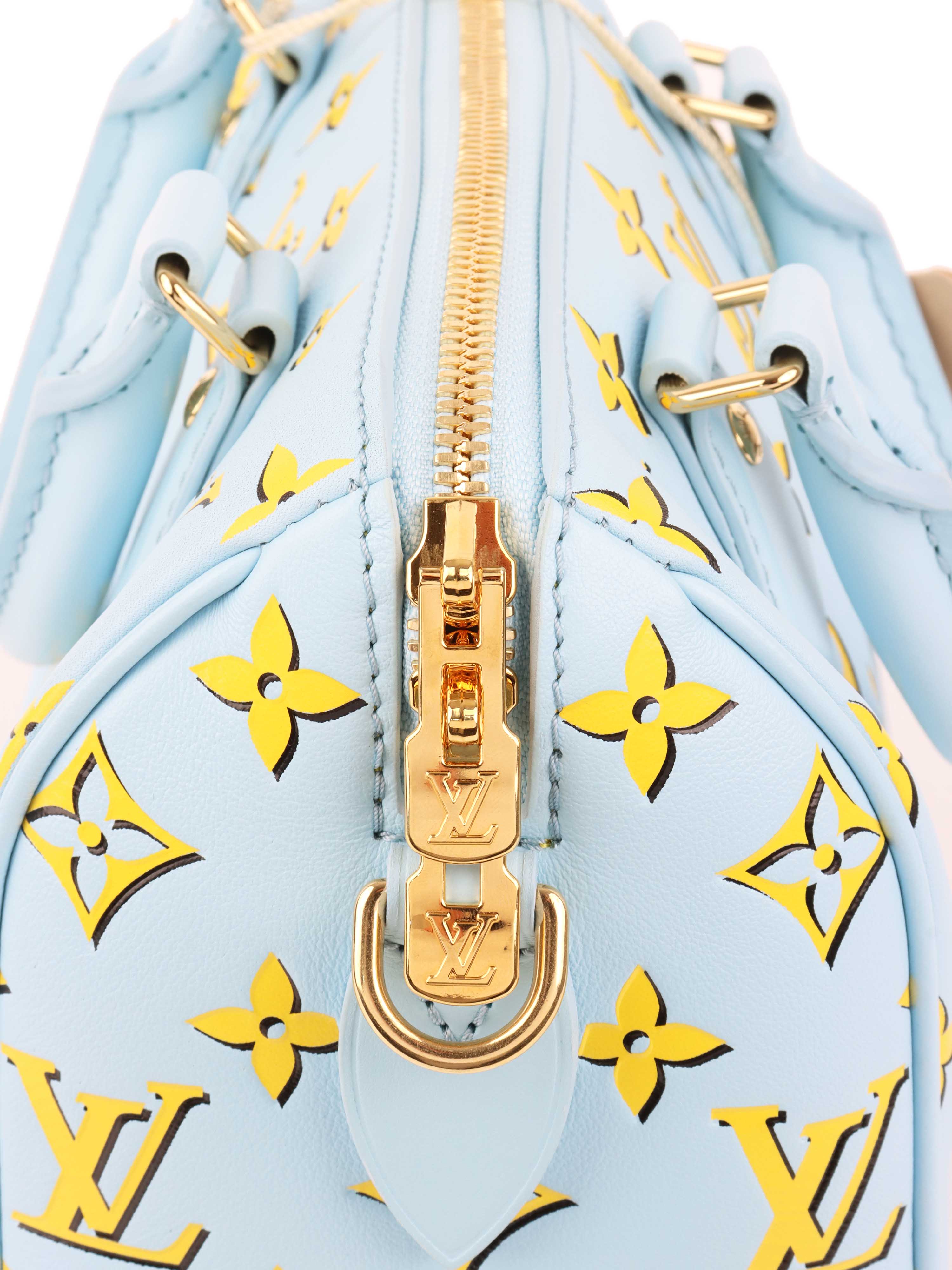 Louis Vuitton Baby Blue Speedy Bandouliere 20.