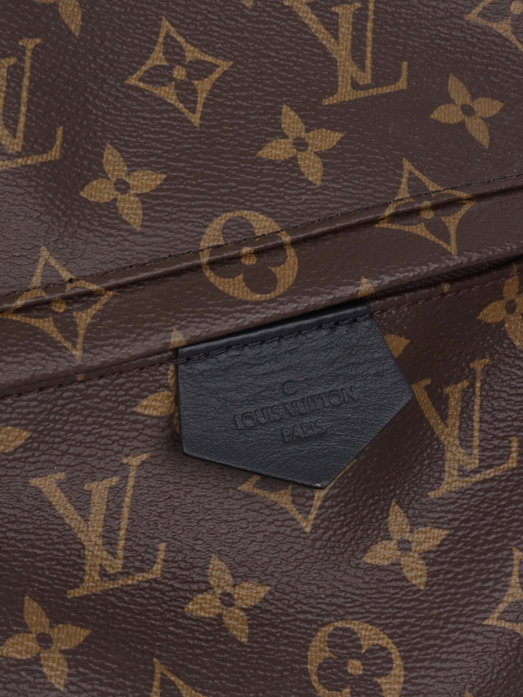 Louis Vuitton Palm Spring MM Backpack.