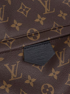 Louis Vuitton Palm Spring MM Backpack.