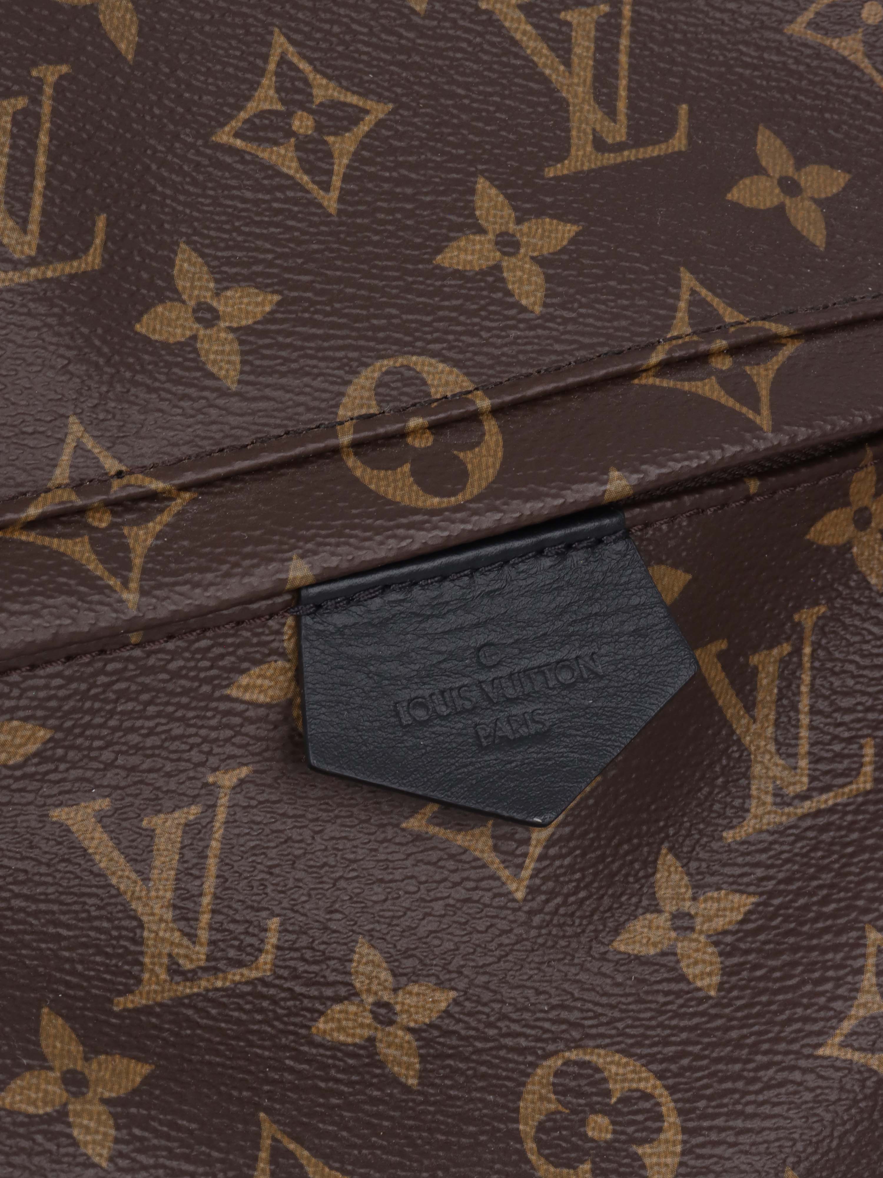 Louis Vuitton Palm Spring MM Backpack.