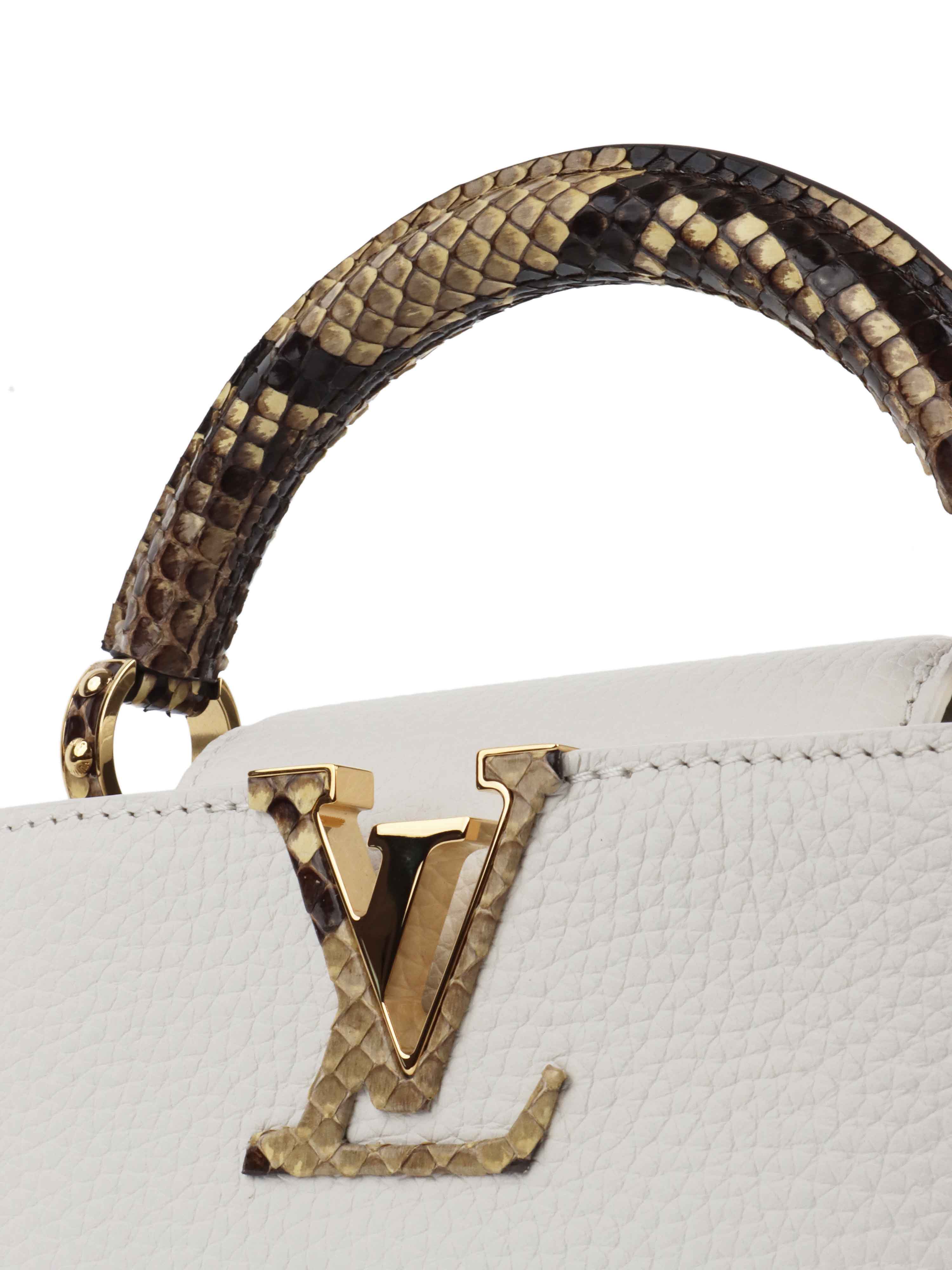 Louis vuitton discount python handle bag