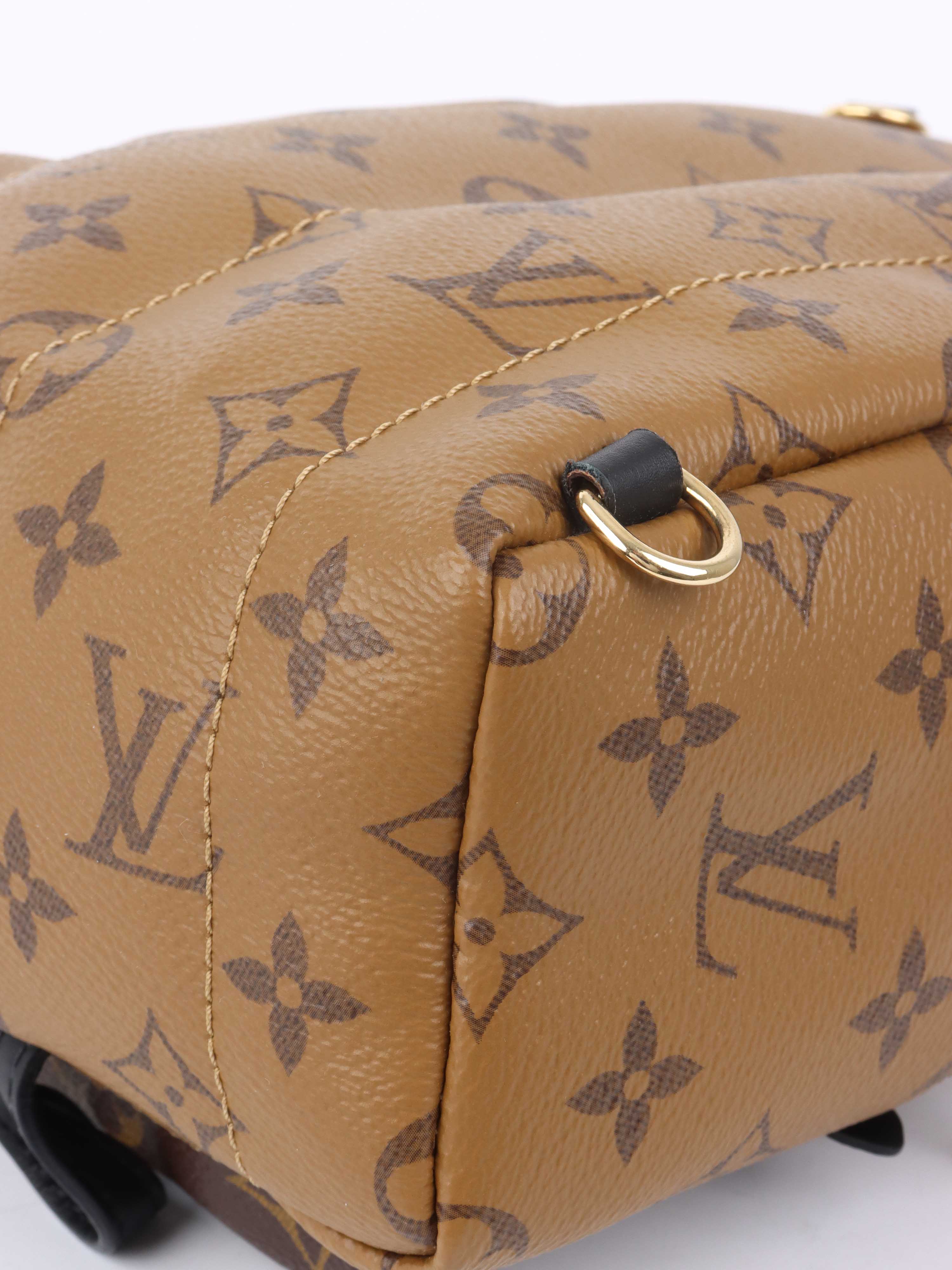 Louis Vuitton Reverse Palm Springs Mini Backpack.