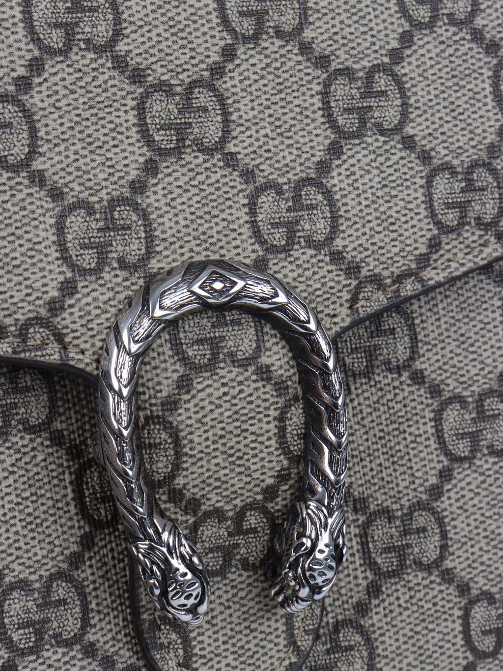 Gucci Dionysus Wallet on Chain.