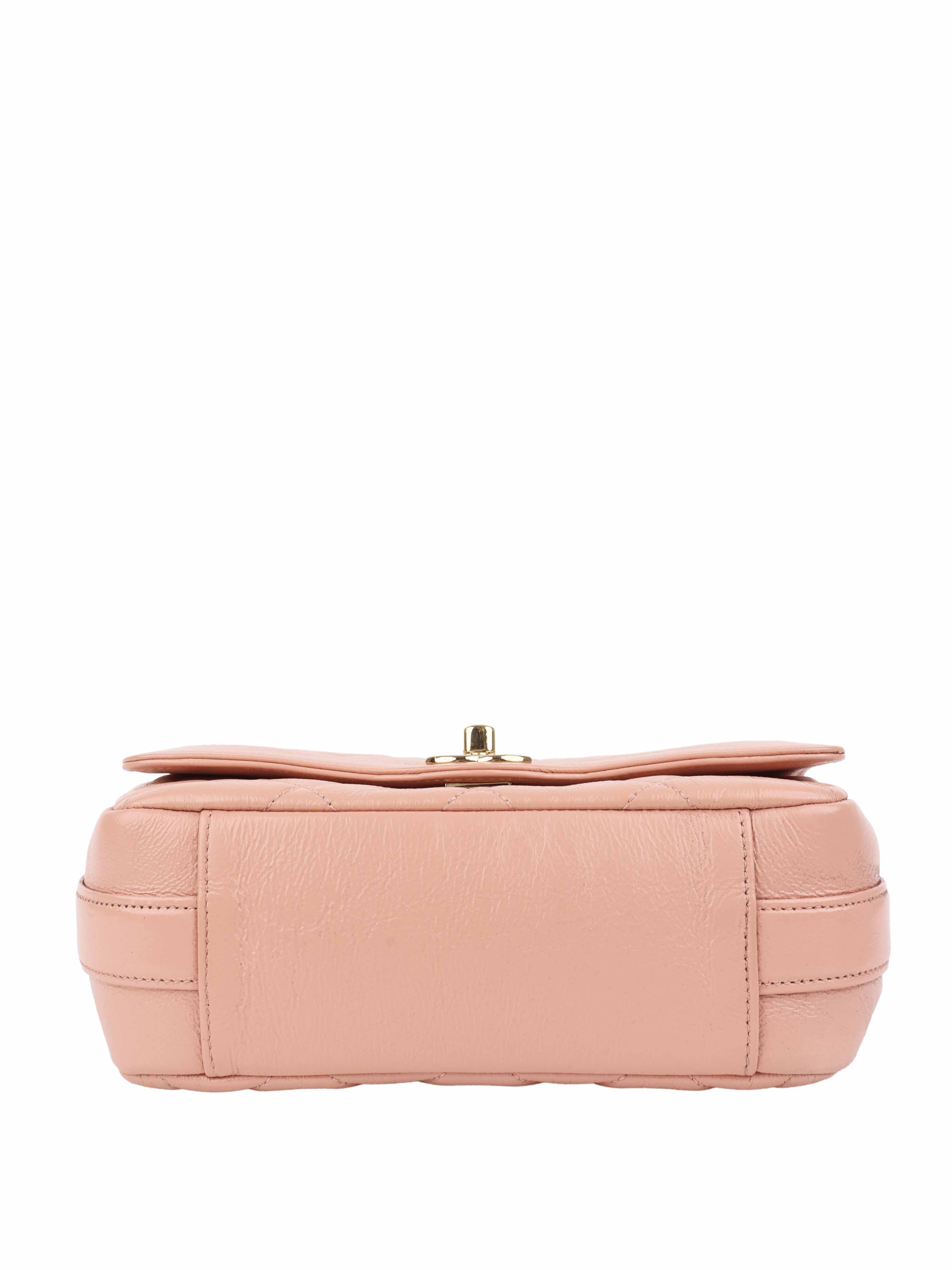 Chanel Pink Hold the Line Bag.