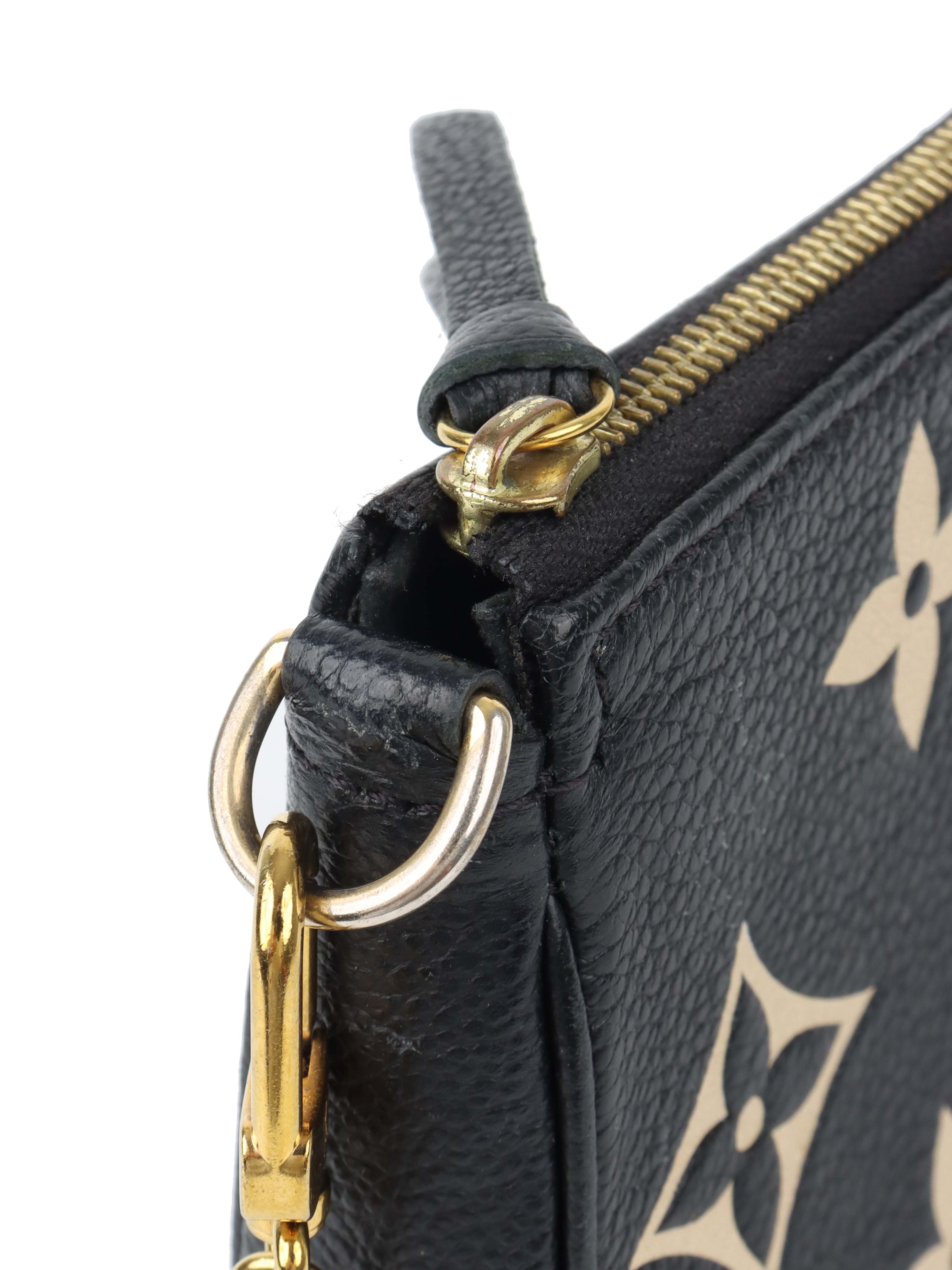 Louis Vuitton Bi-colour Mini Pochette Accessories.