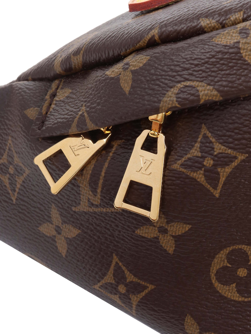 Louis Vuitton Monogram BumBag.