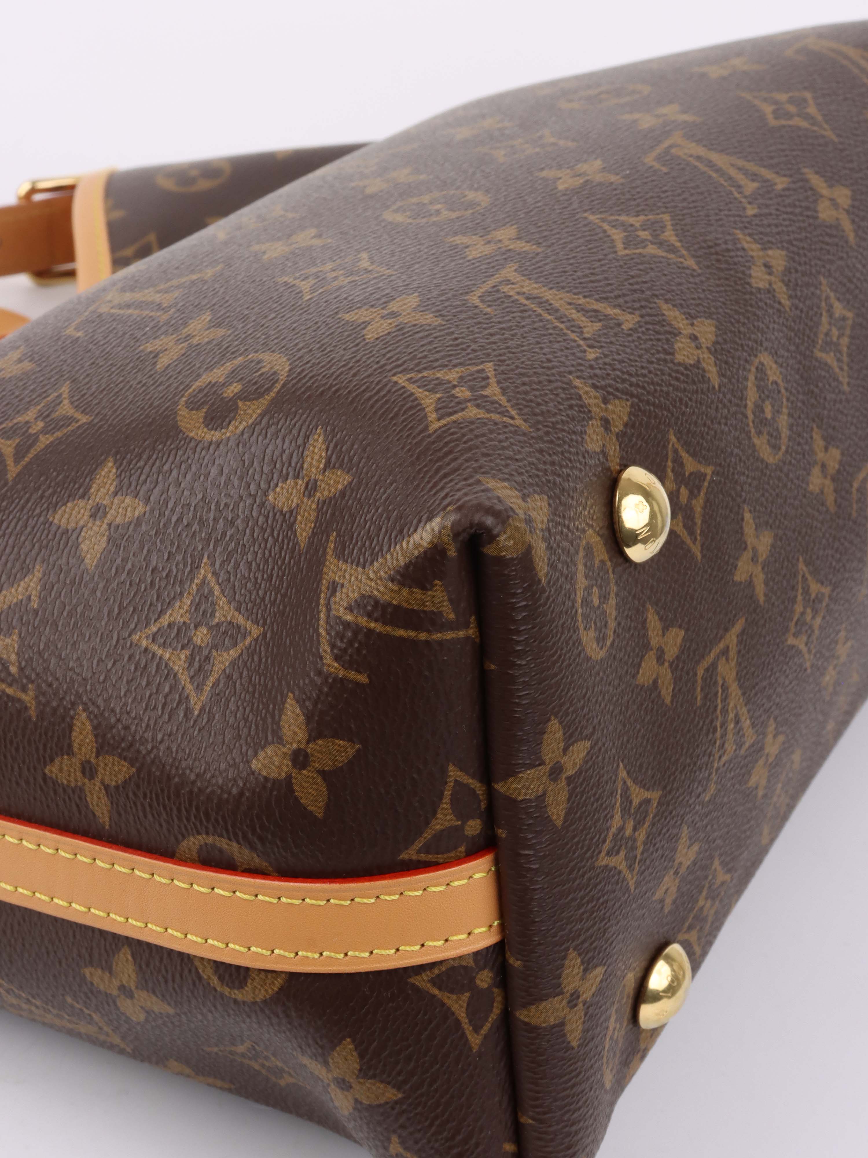 Louis Vuitton Monogram CarryAll PM Bag.