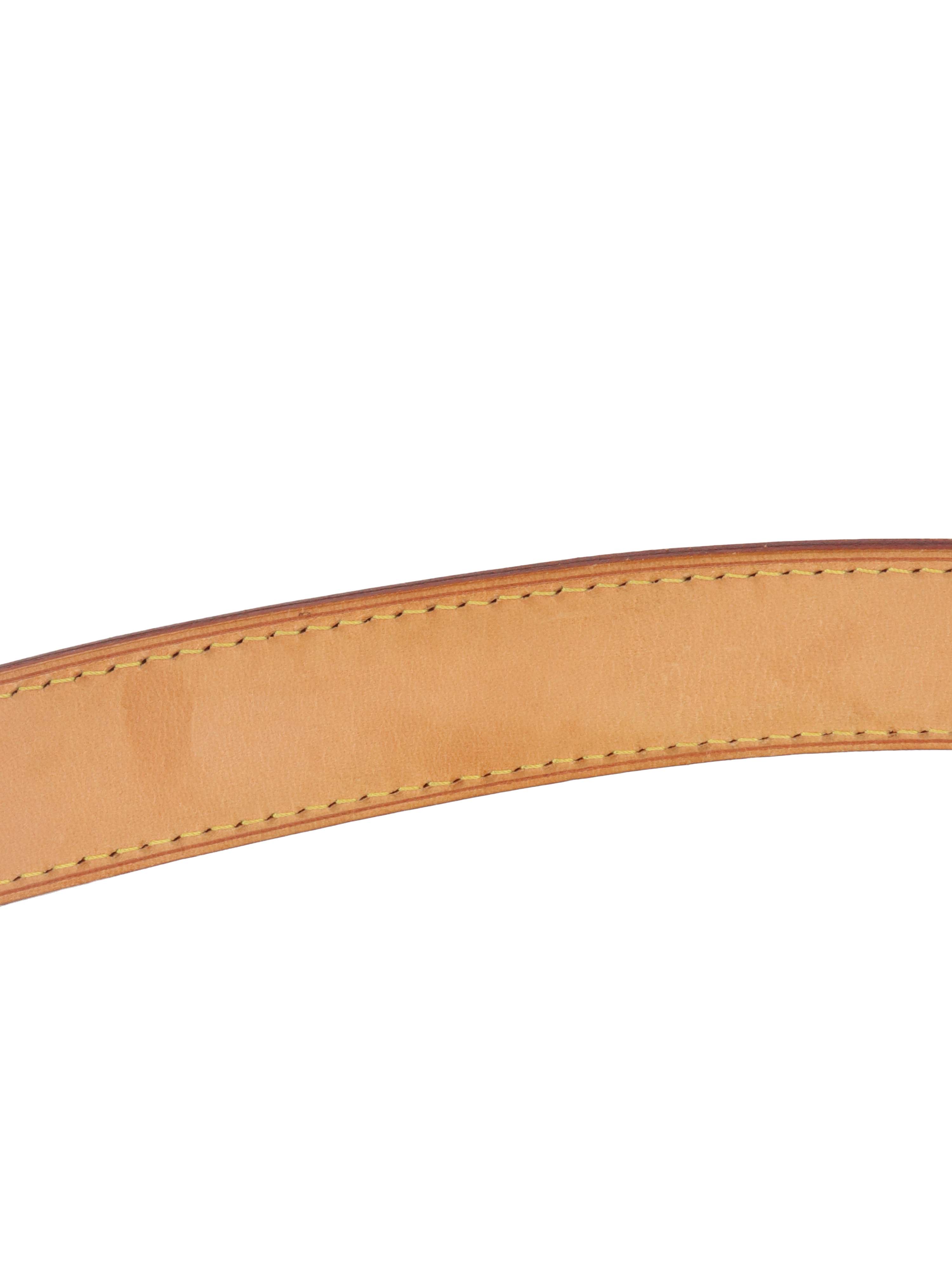 Louis Vuitton Brown Monogram Thames PM Bag