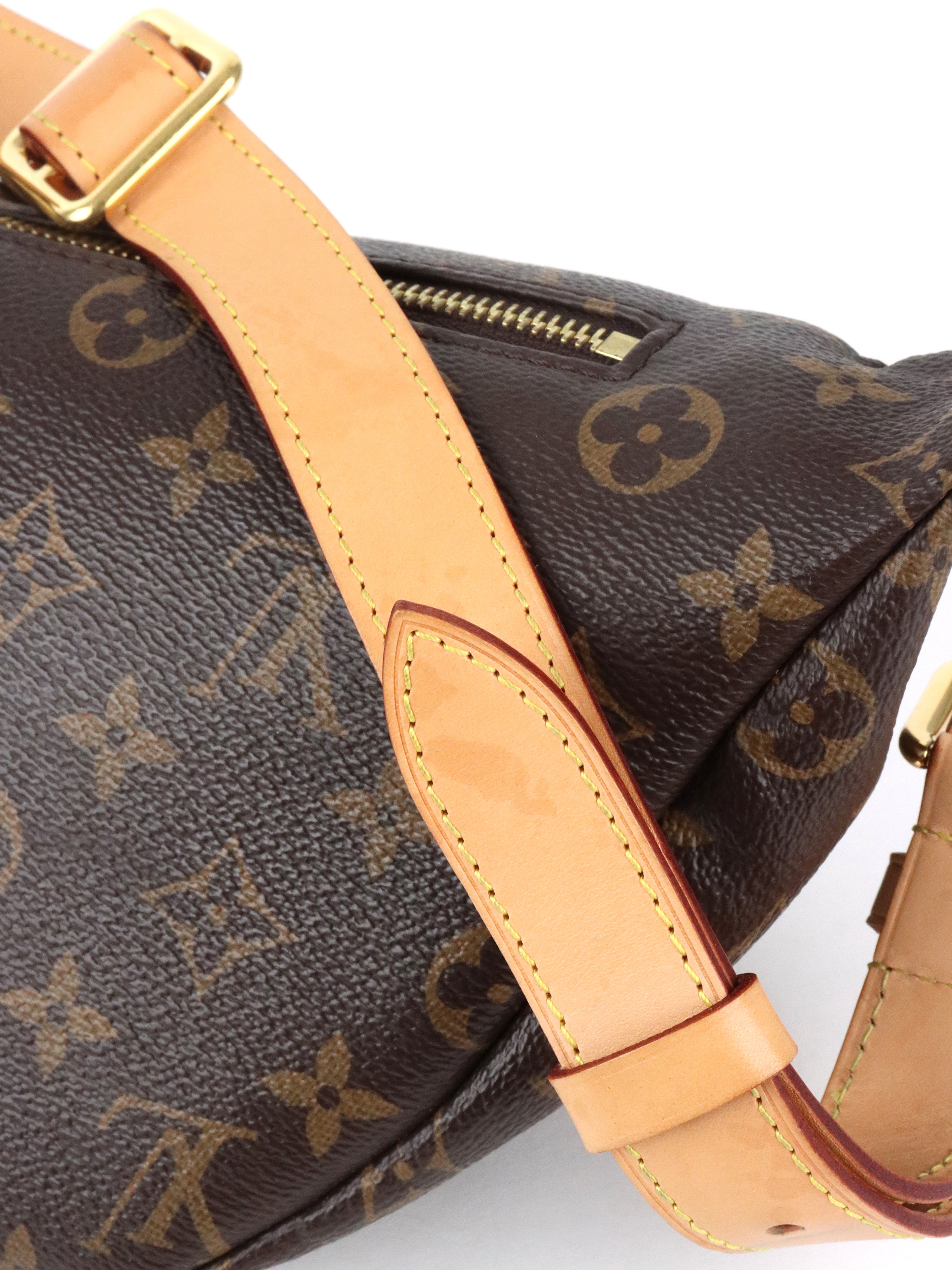 Louis Vuitton Monogram Bumbag