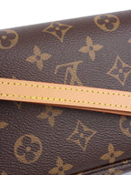 Louis Vuitton Ivy Wallet on Chain.