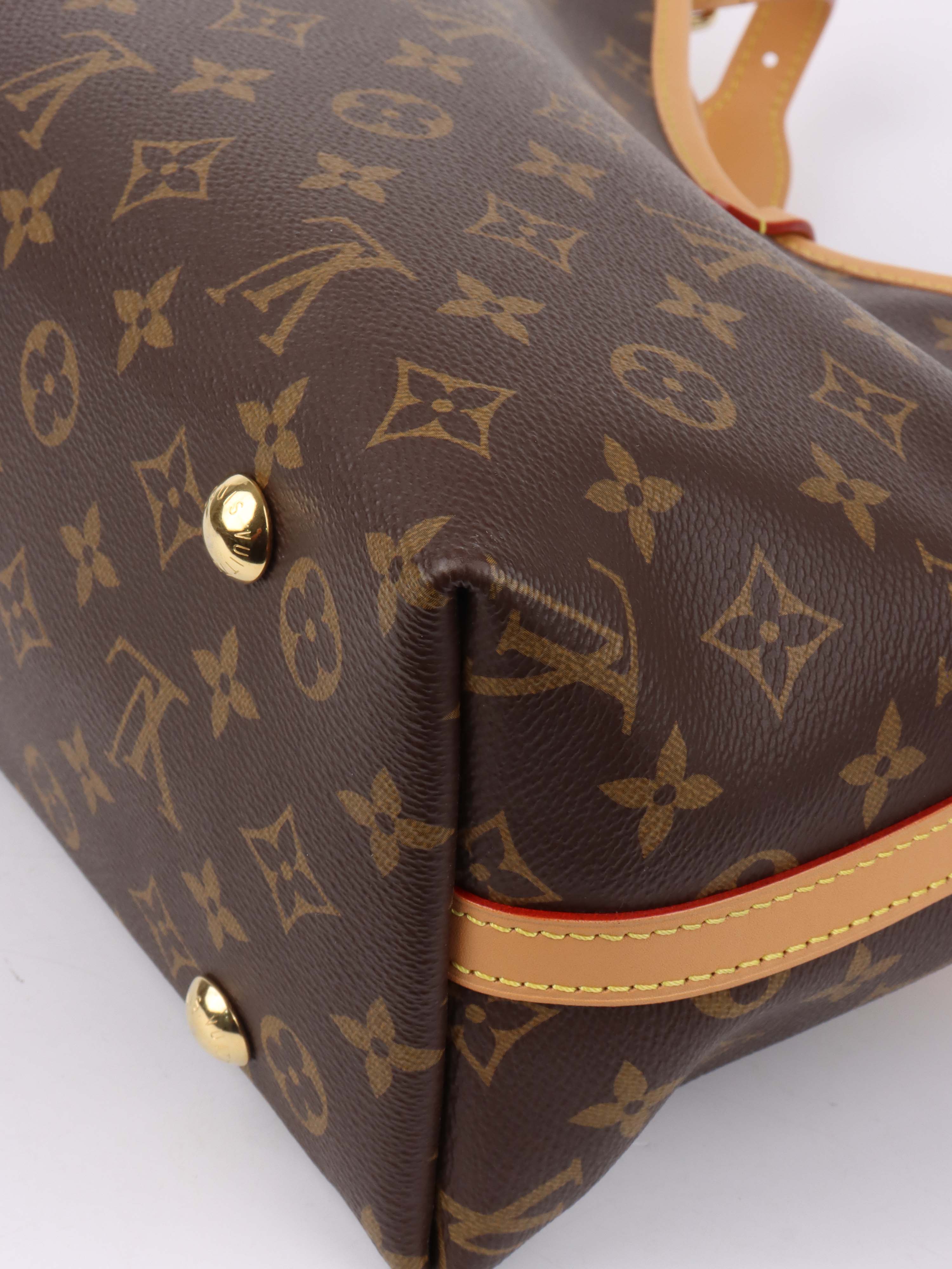 Louis Vuitton Monogram CarryAll PM Bag.