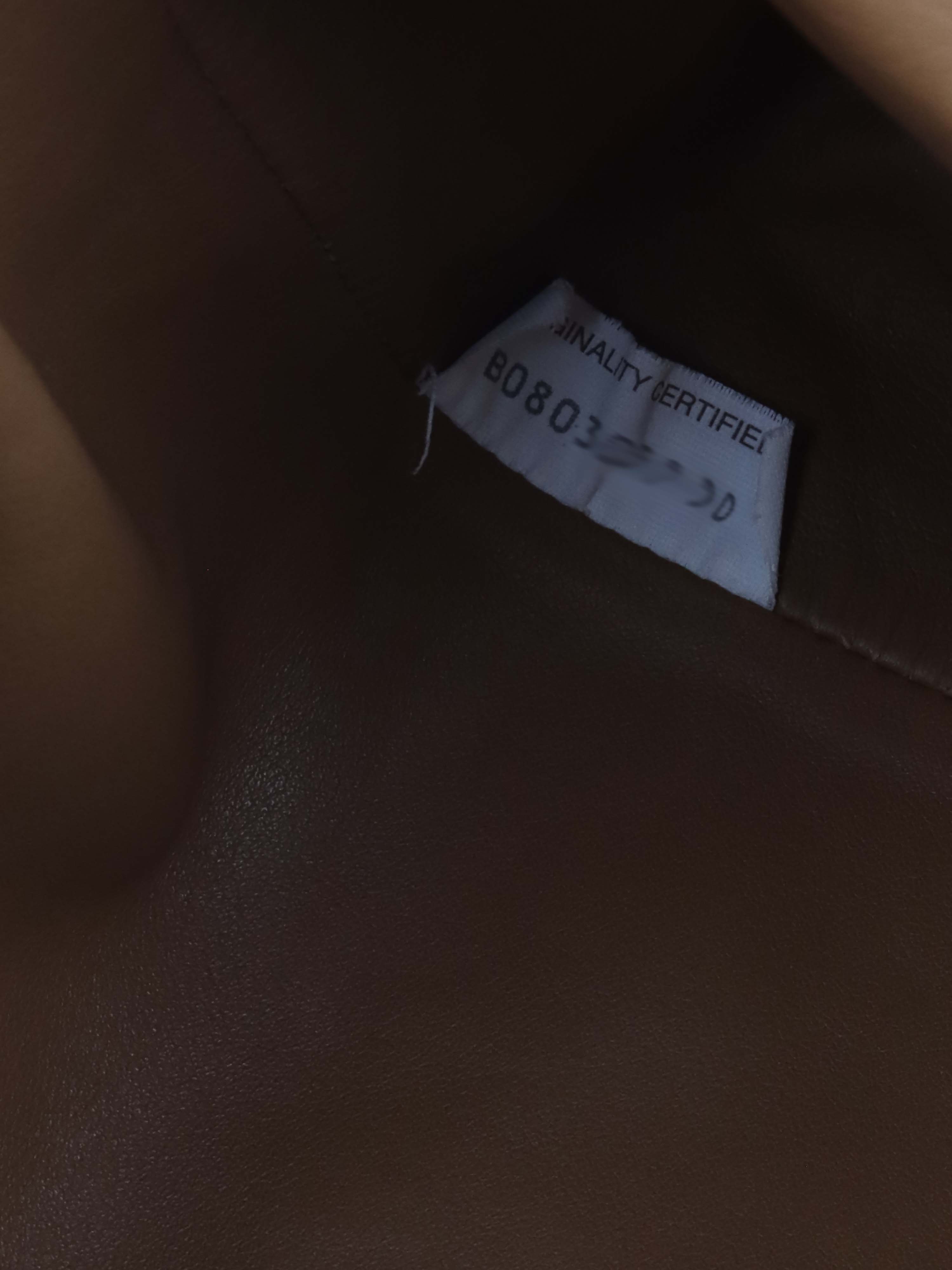 Bottega Veneta Pouch in Tan.