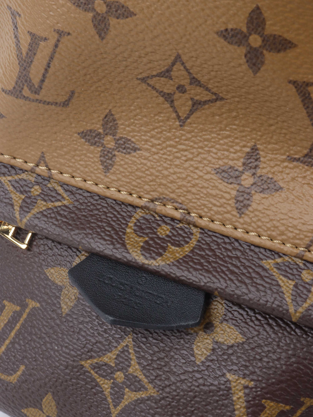 Louis Vuitton Reverse Palm Springs Mini Backpack.