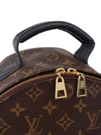 Louis Vuitton Palm Spring MM Backpack.