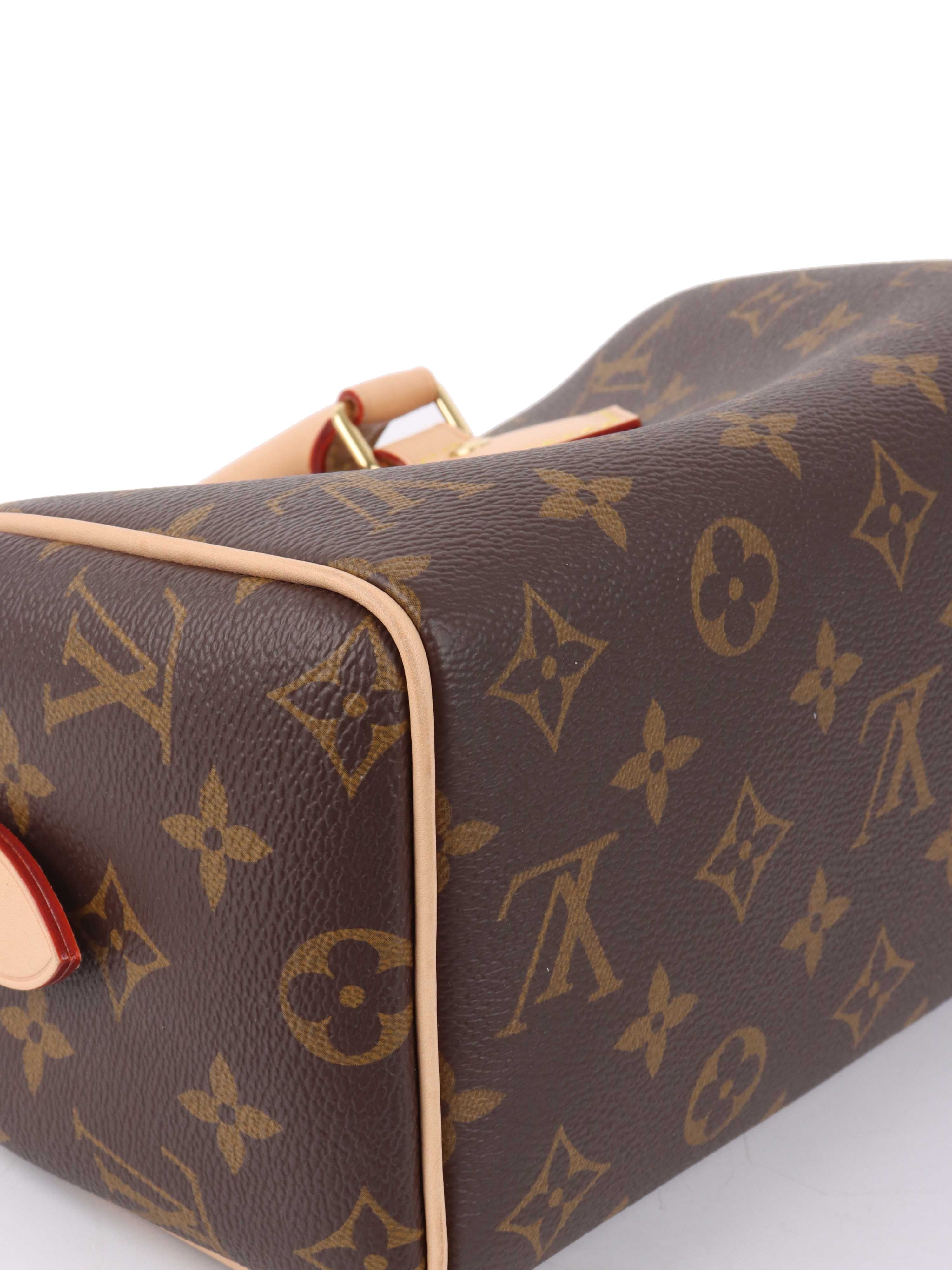 Louis Vuitton Monogram Speedy 20.