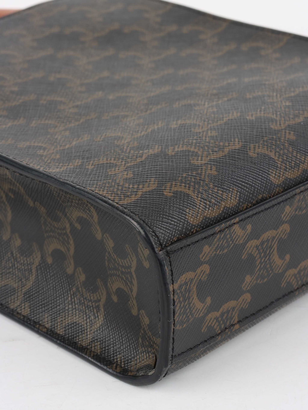 Celine Mini Vertical Cabas in Triomphe Canvas with Celine Print.