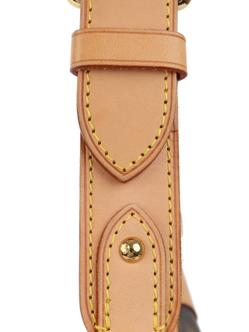 Louis Vuitton Brown Monogram Thames PM Bag.