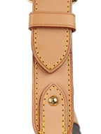 Louis Vuitton Brown Monogram Thames PM Bag.