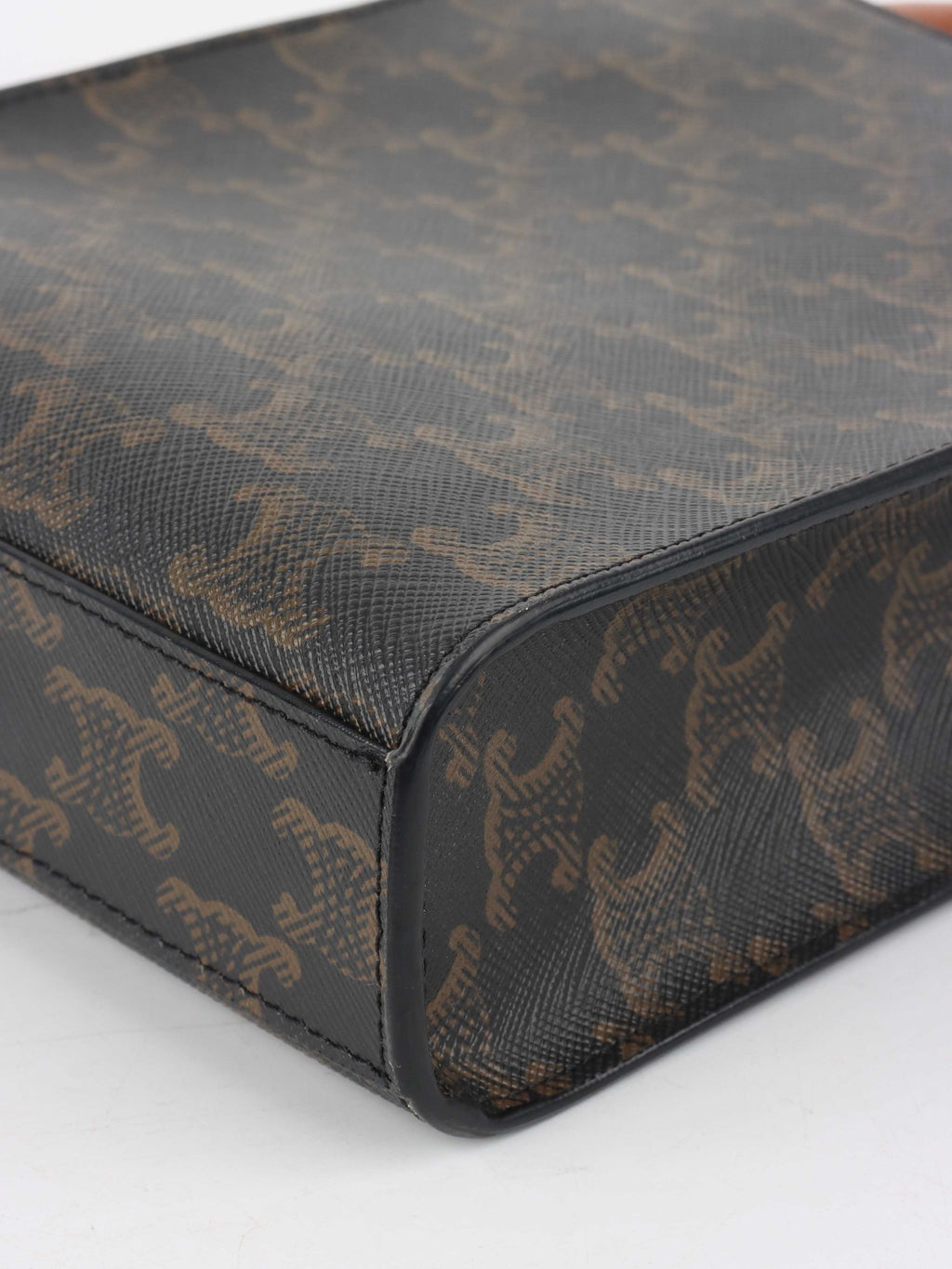 Celine Mini Vertical Cabas in Triomphe Canvas with Celine Print.