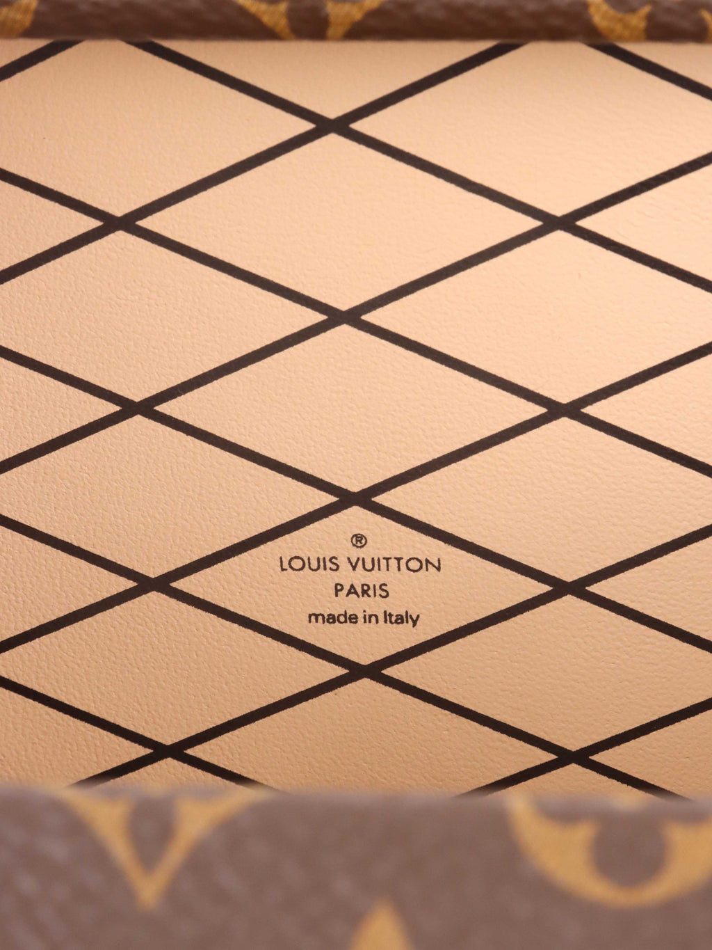 Louis Vuitton Monogram Tressage Petite Malle.