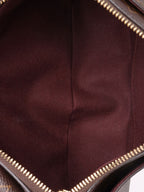 Louis Vuitton Monogram Vivacité Bag