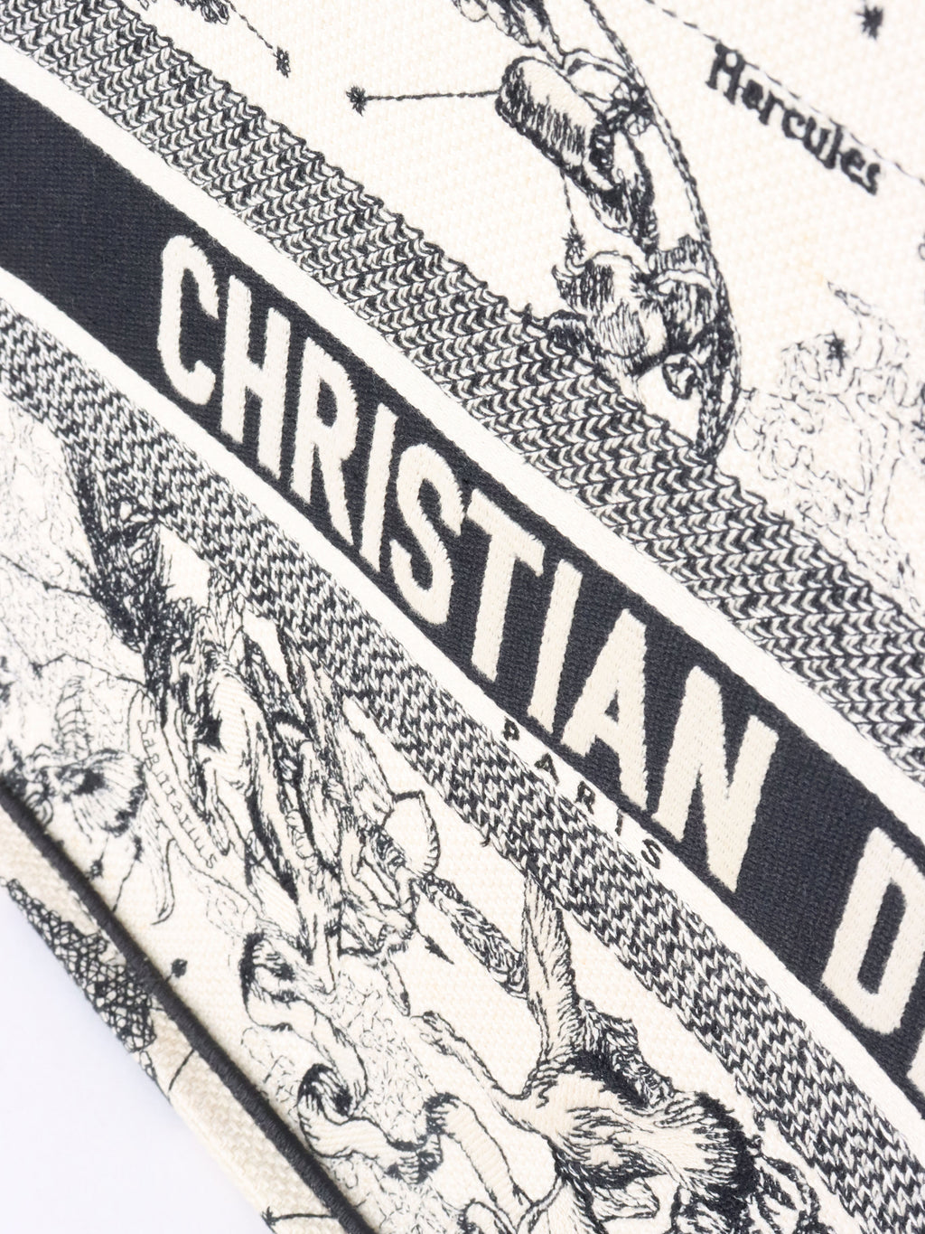 Dior Latte and Black Zodiac Medium Book Tote.