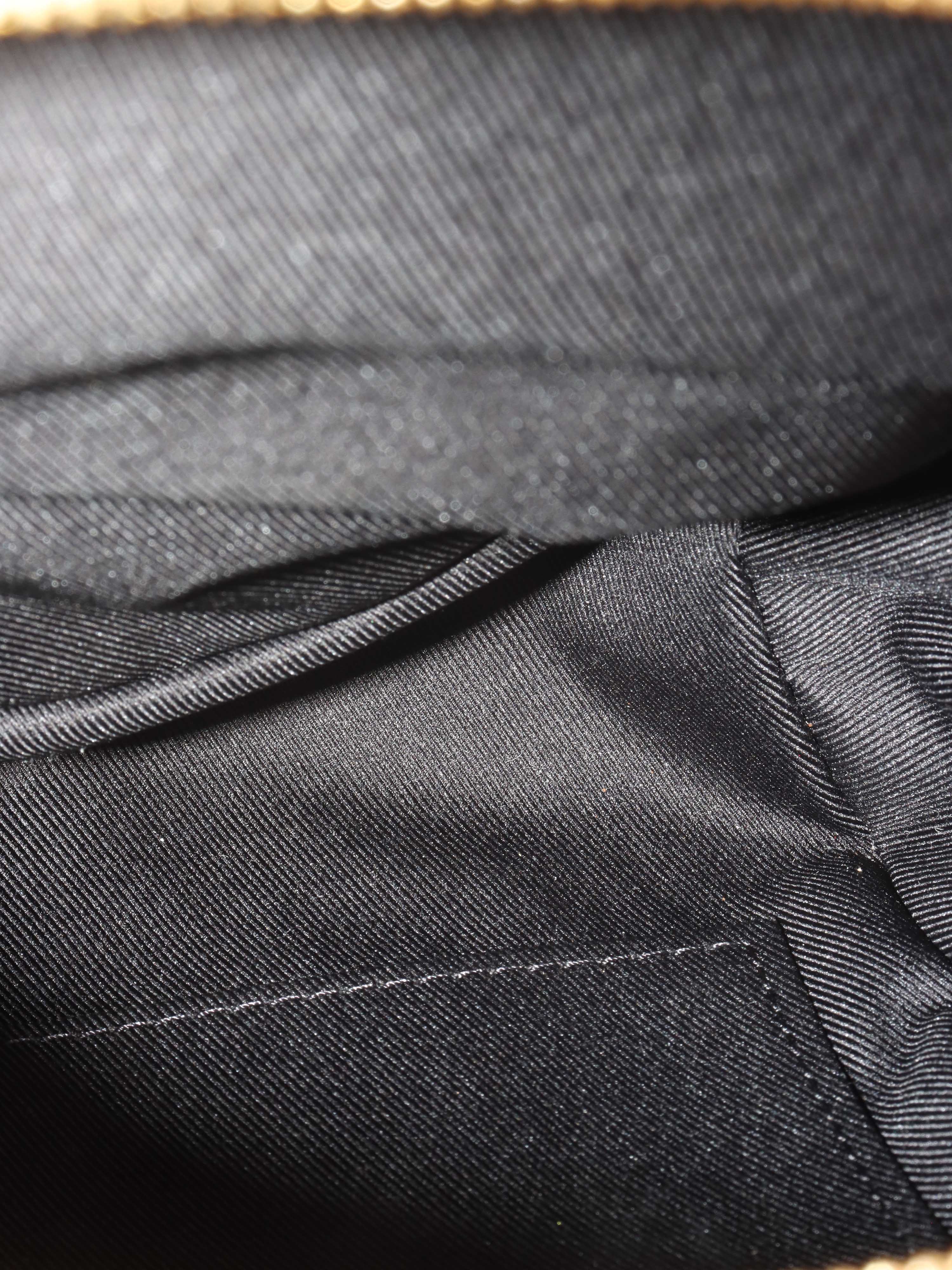 Louis Vuitton Reverse Palm Springs Mini Backpack.