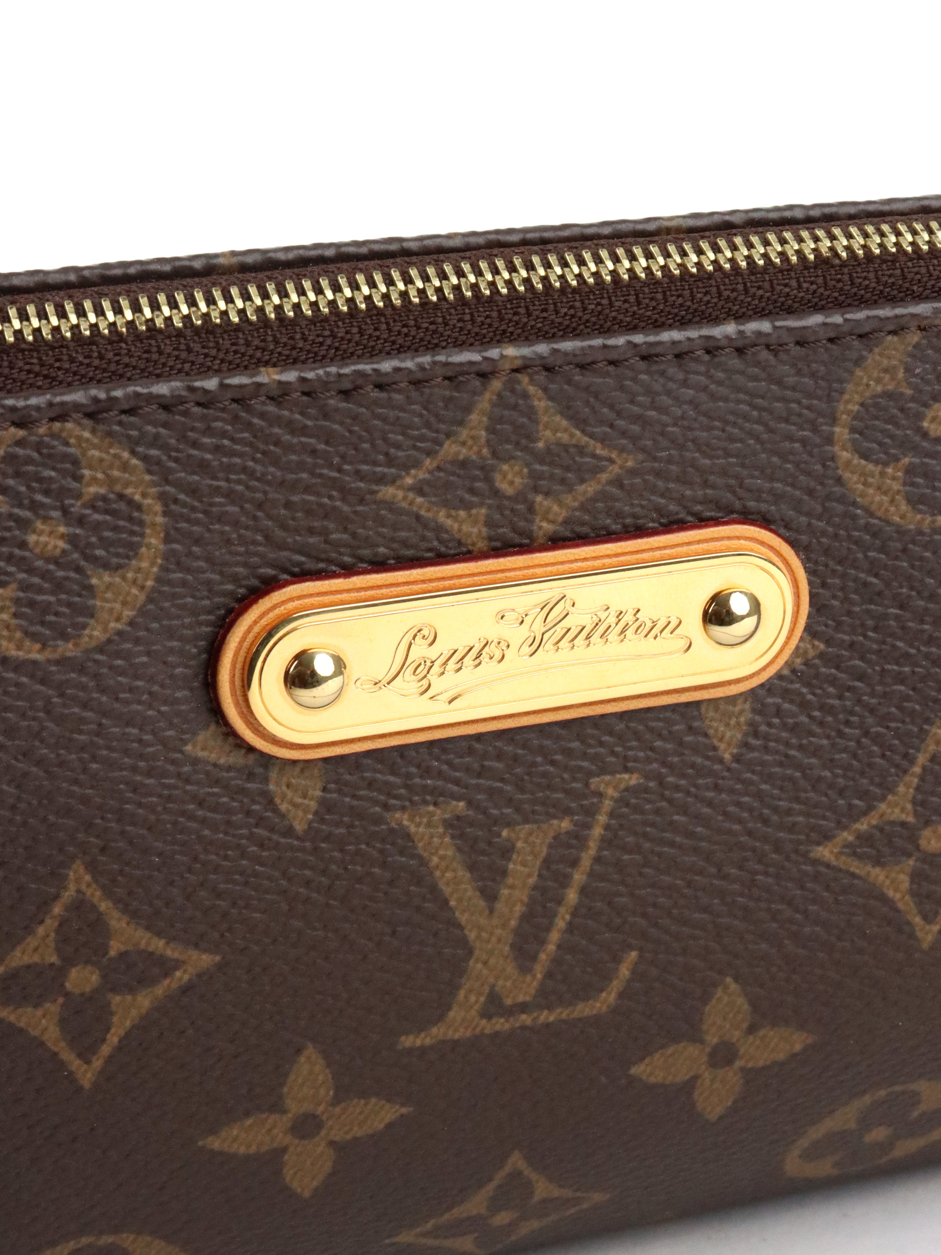 Louis Vuitton Monogram Pochette Eva