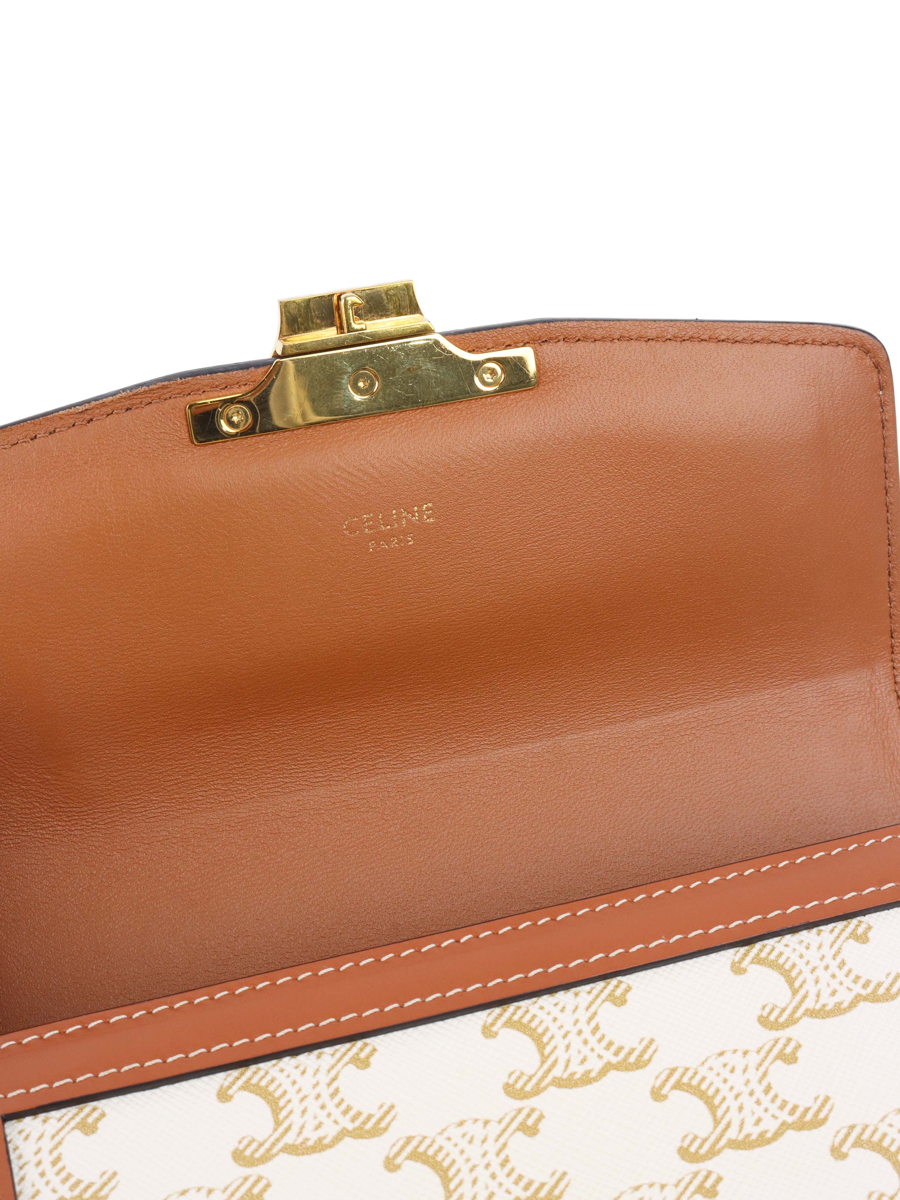 Celine Teen Triomphe Bag in Canvas.