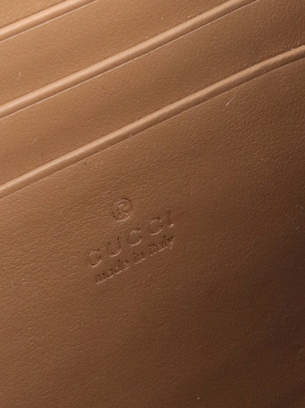 Gucci Dionysus Wallet on Chain.