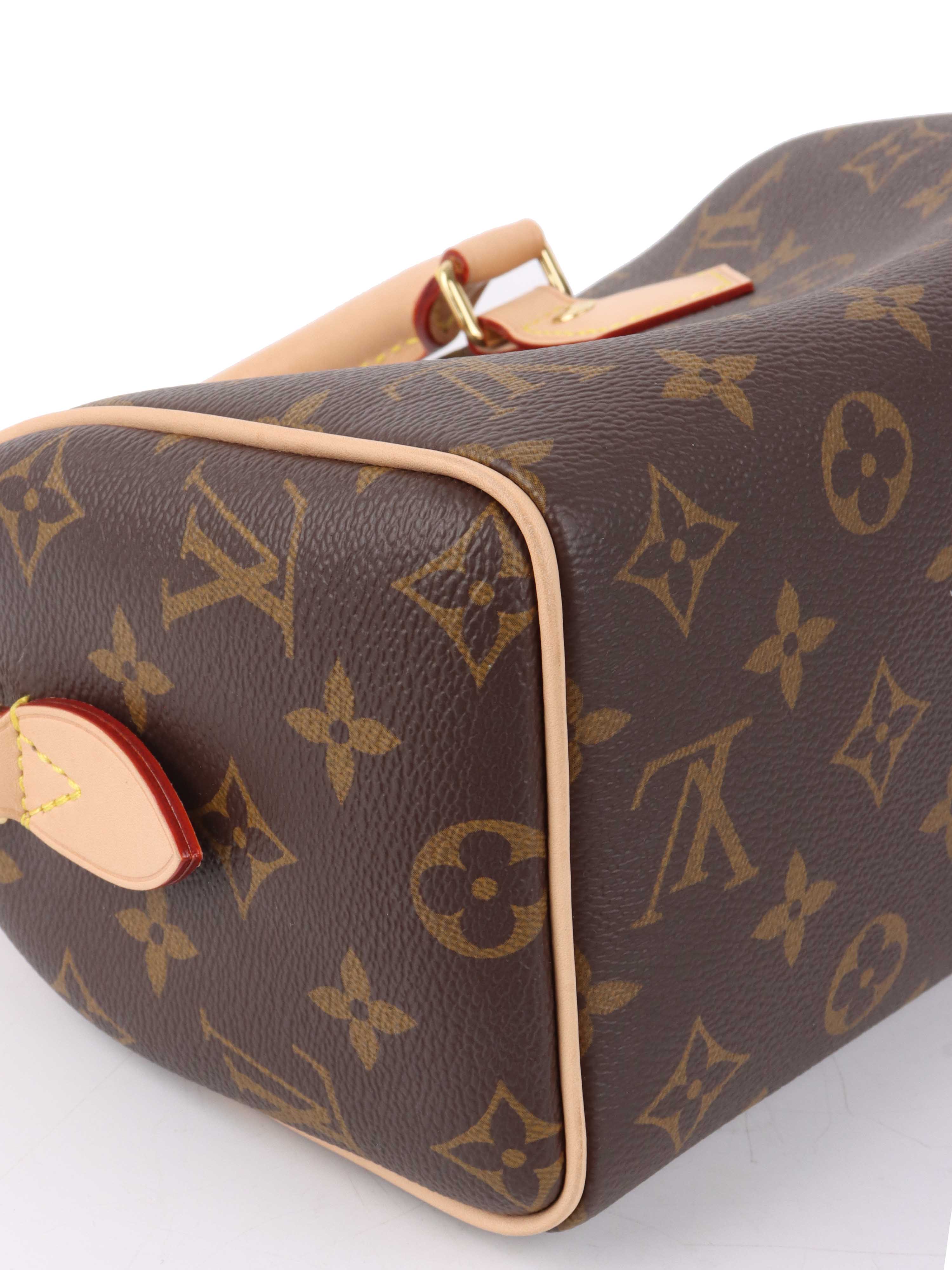 Louis Vuitton Monogram Speedy 20.