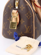 Louis Vuitton Monogram Speedy 20.