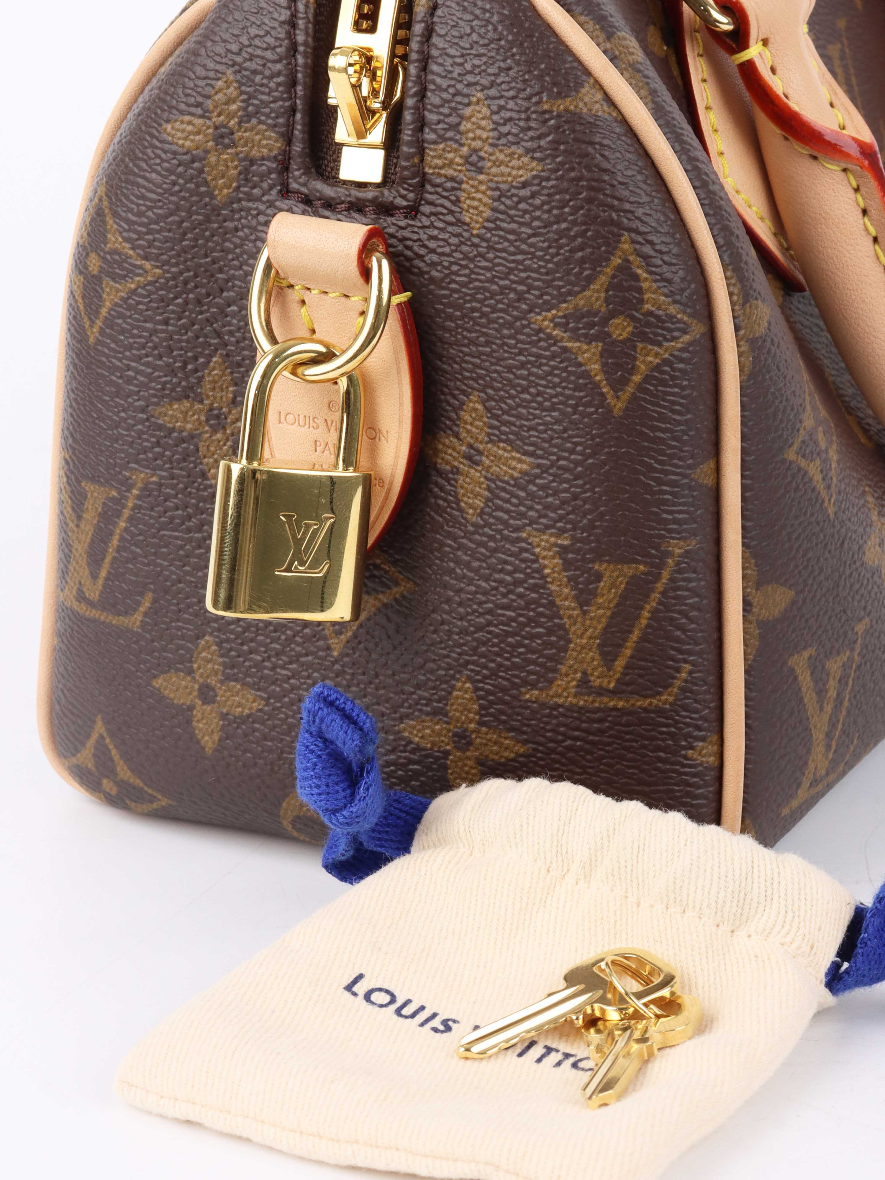 Louis Vuitton Monogram Speedy 20.