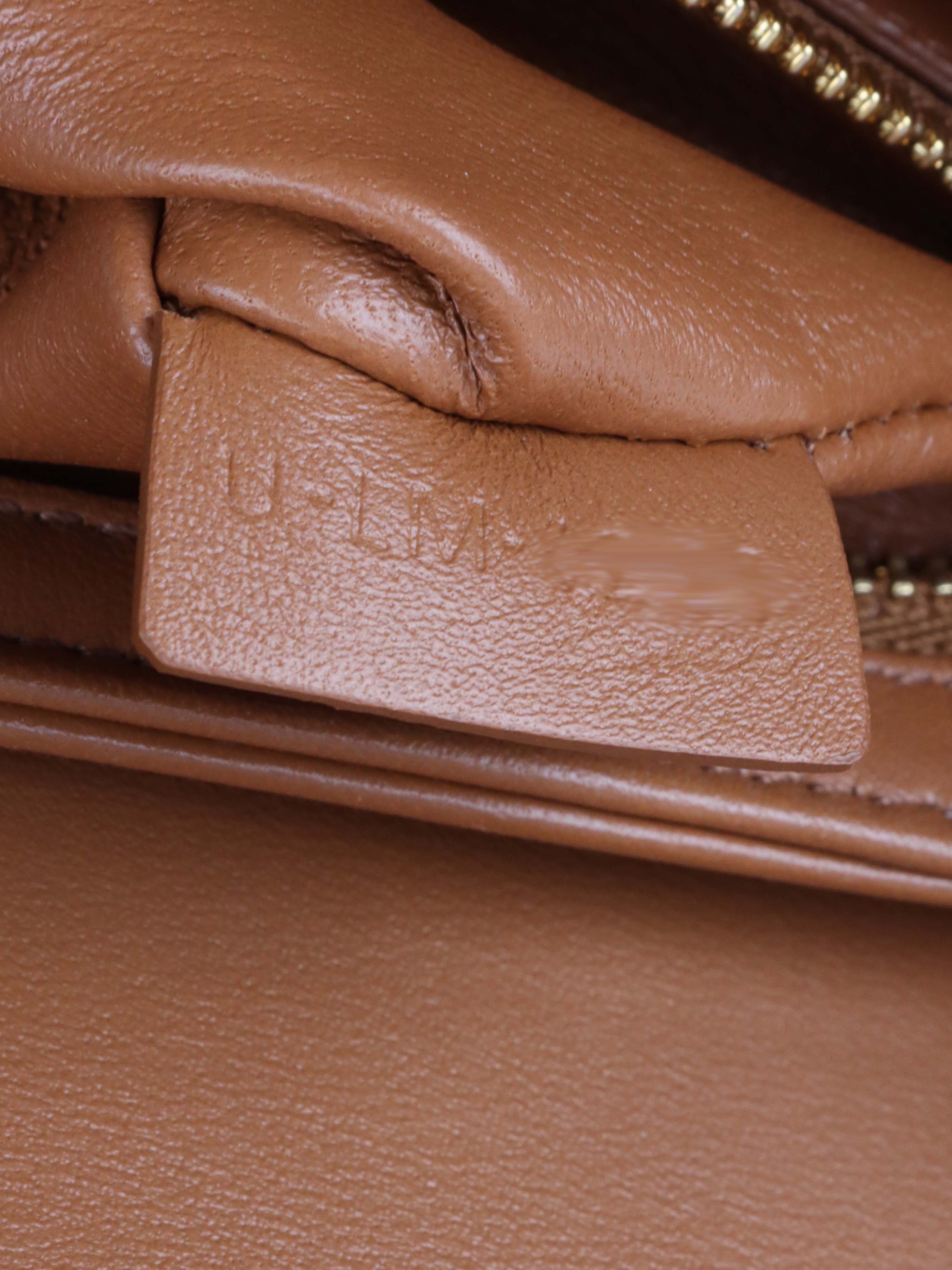 Celine Teen Triomphe Bag in Canvas.