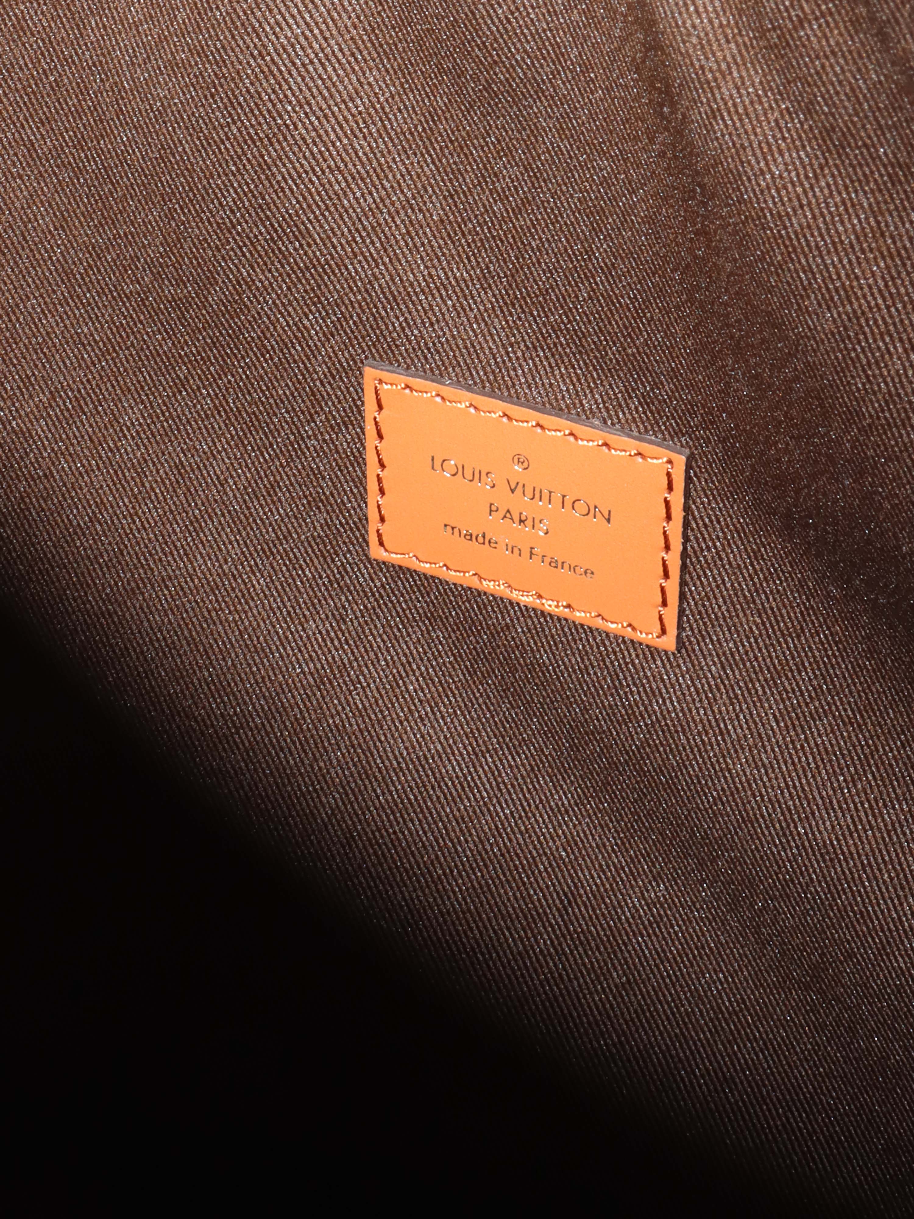 Louis Vuitton Monogram Loop Hobo Bag.