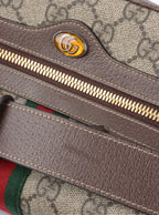 Gucci Ophidia Supreme Belt Bag.