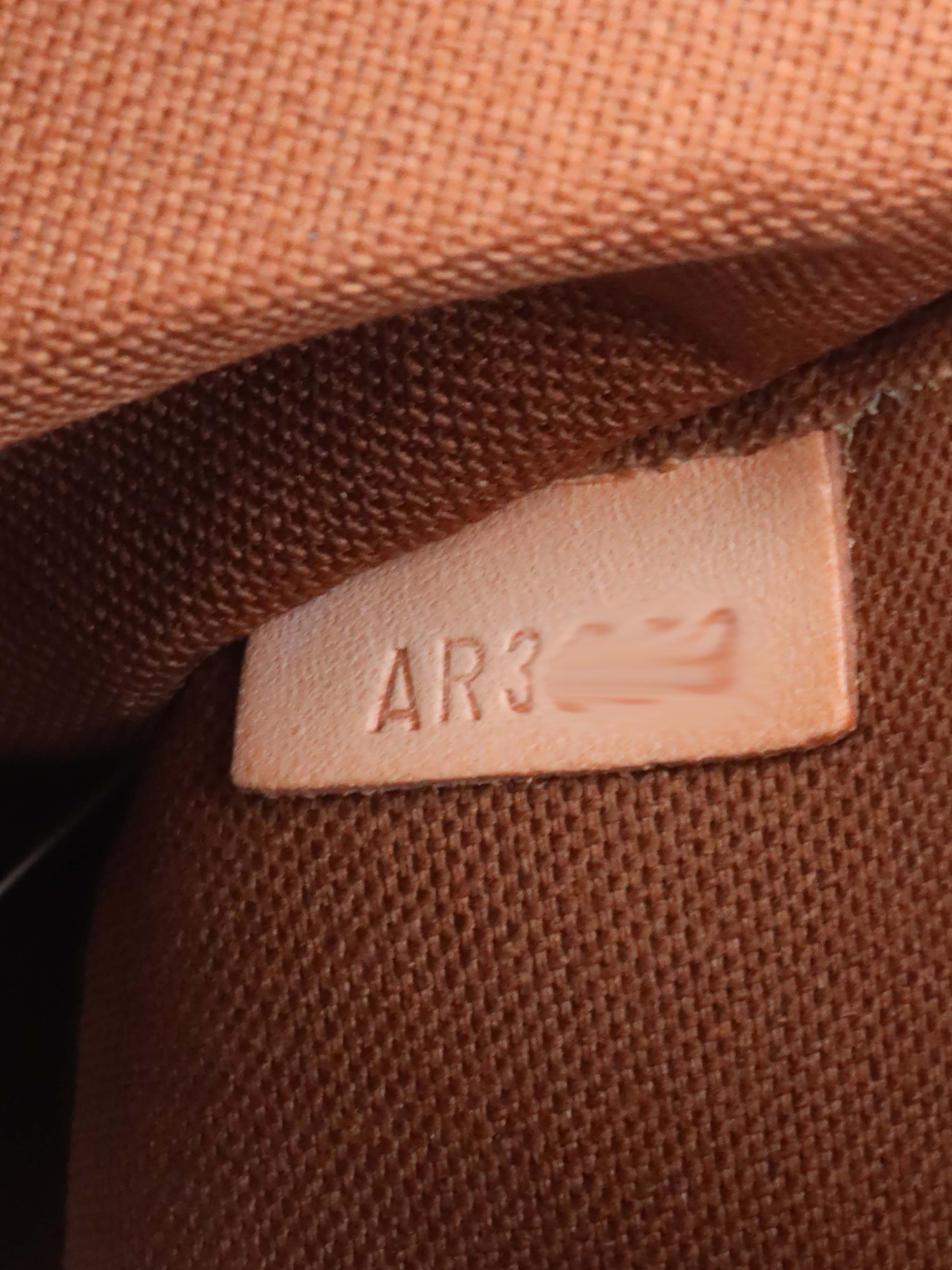 Louis Vuitton Brown Monogram Thames PM Bag