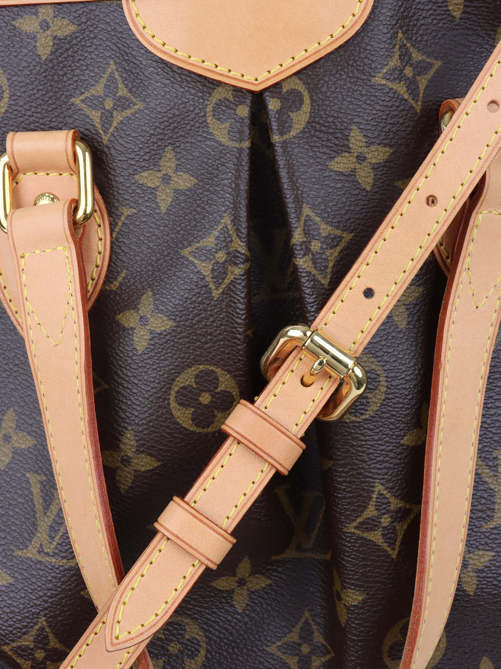 Louis Vuitton Monogram Palermo PM Bag.