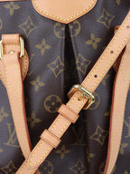 Louis Vuitton Monogram Palermo PM Bag.