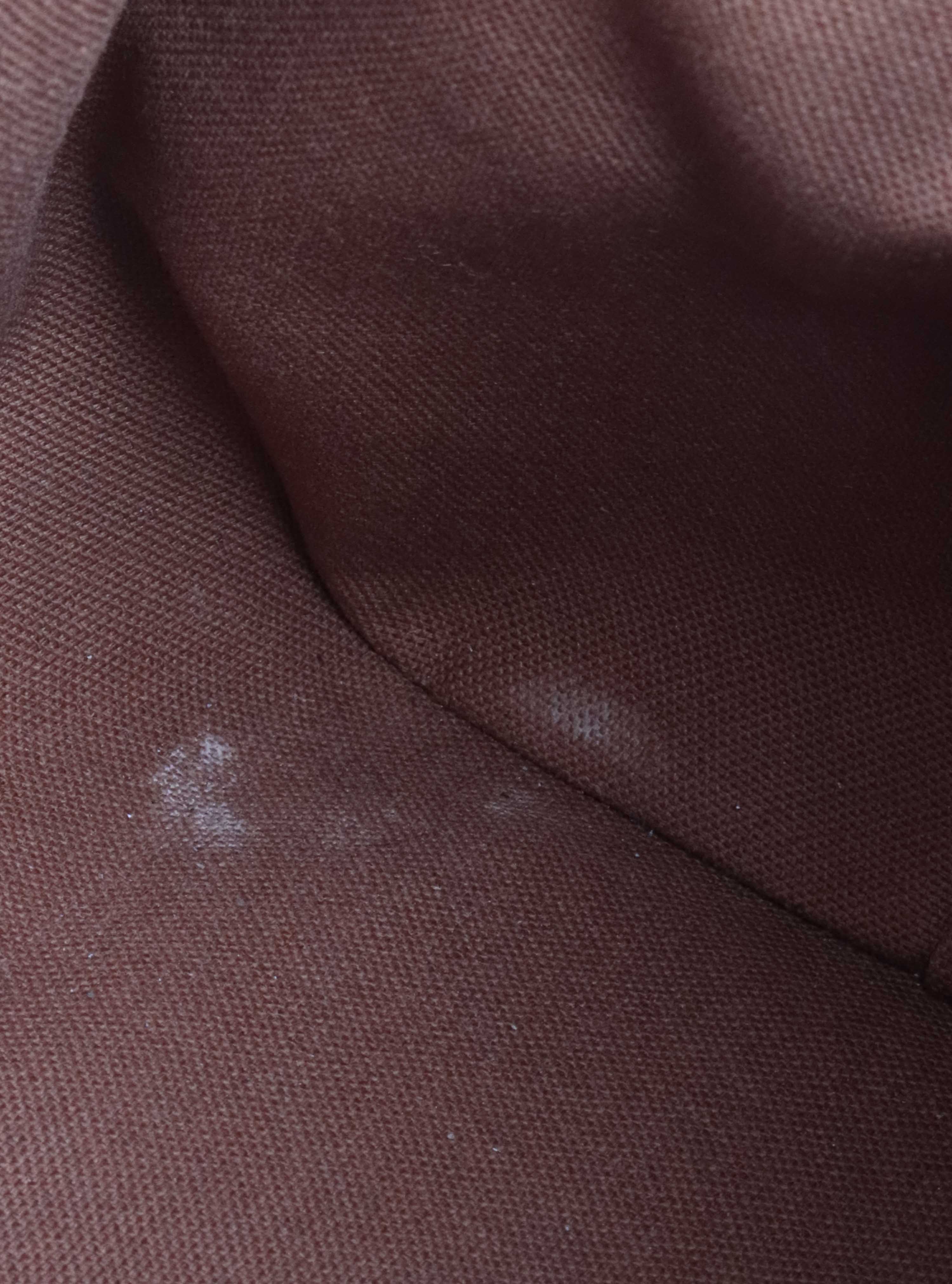 Louis Vuitton Monogram Tivoli PM Bag.