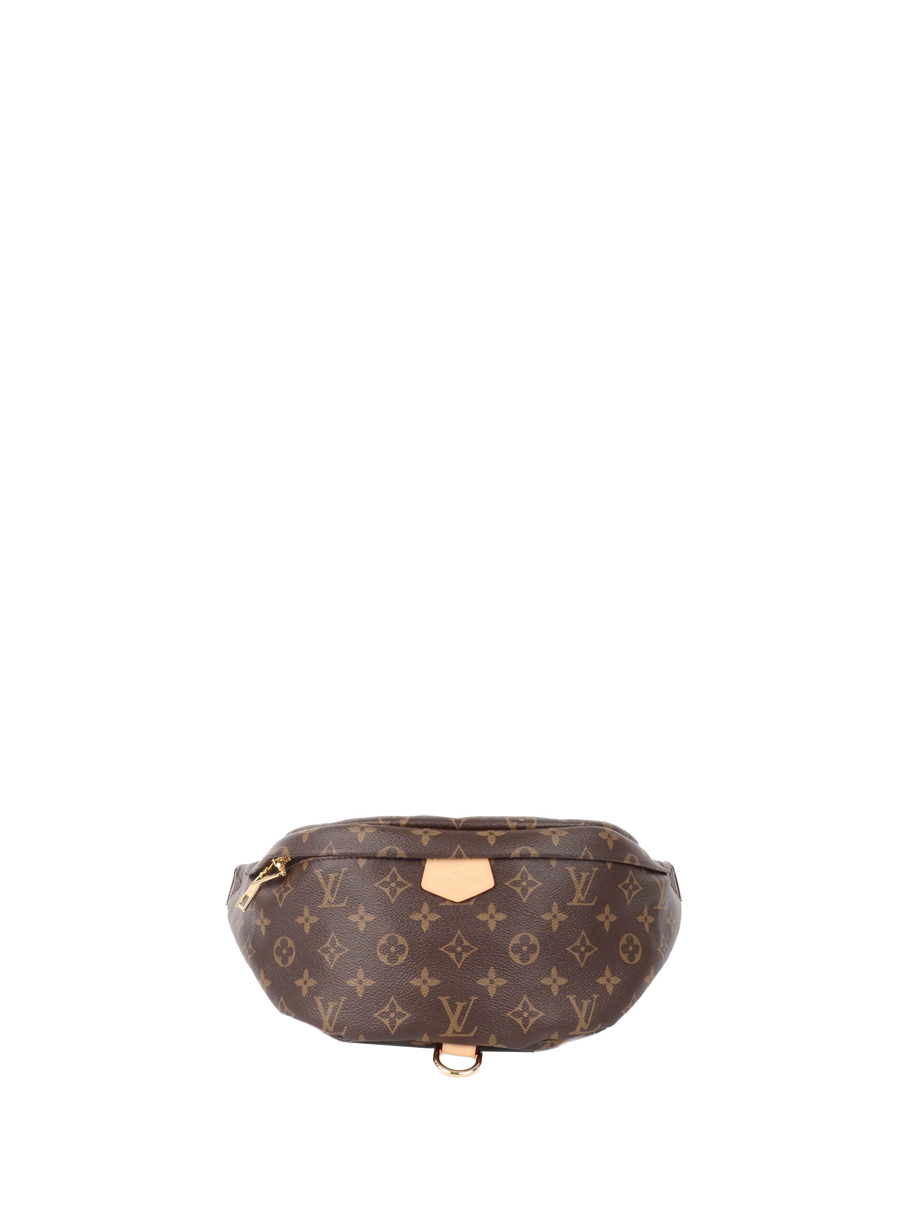 Louis Vuitton Monogram BumBag.