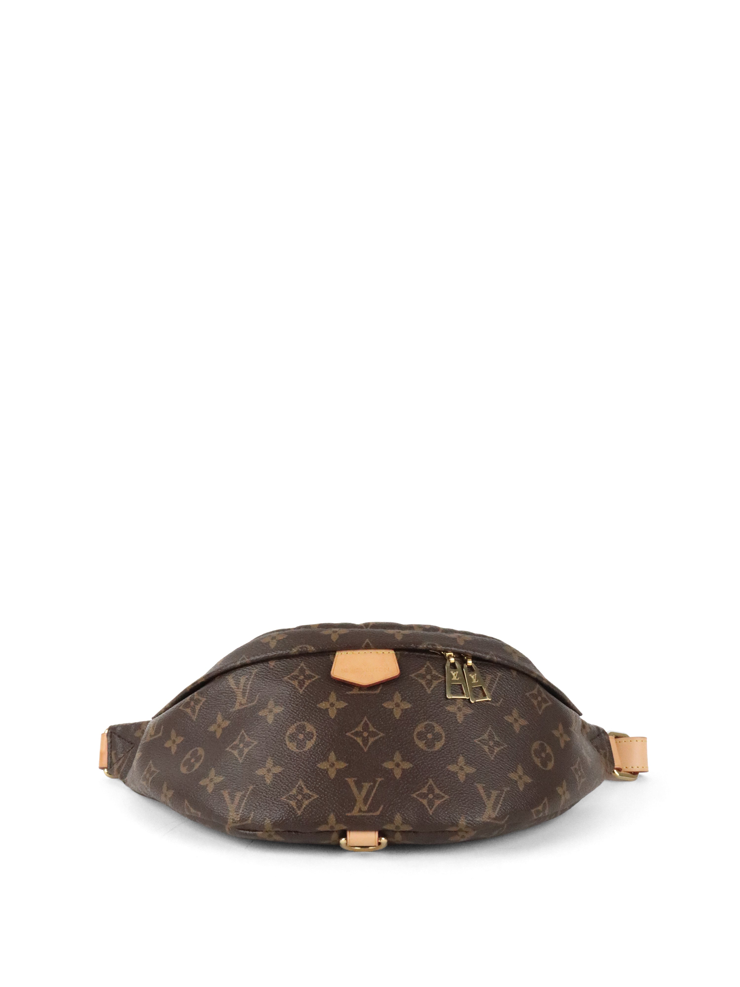 Louis Vuitton Monogram Bumbag