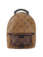 Louis Vuitton Reverse Palm Springs Mini Backpack.