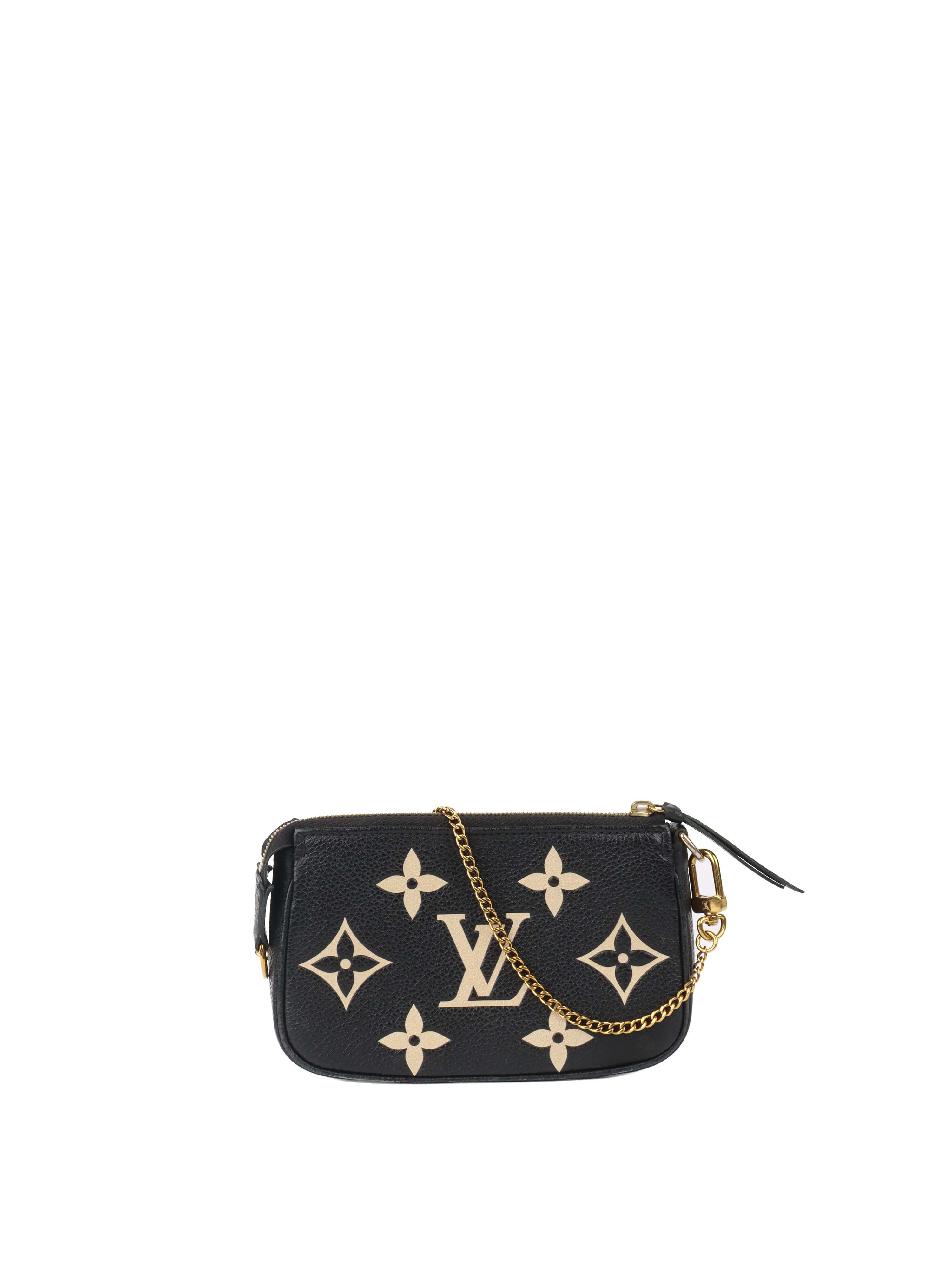 Louis Vuitton Bi-colour Mini Pochette Accessories.