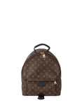 Louis Vuitton Palm Spring MM Backpack.