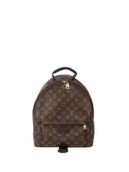 Louis Vuitton Palm Spring MM Backpack.