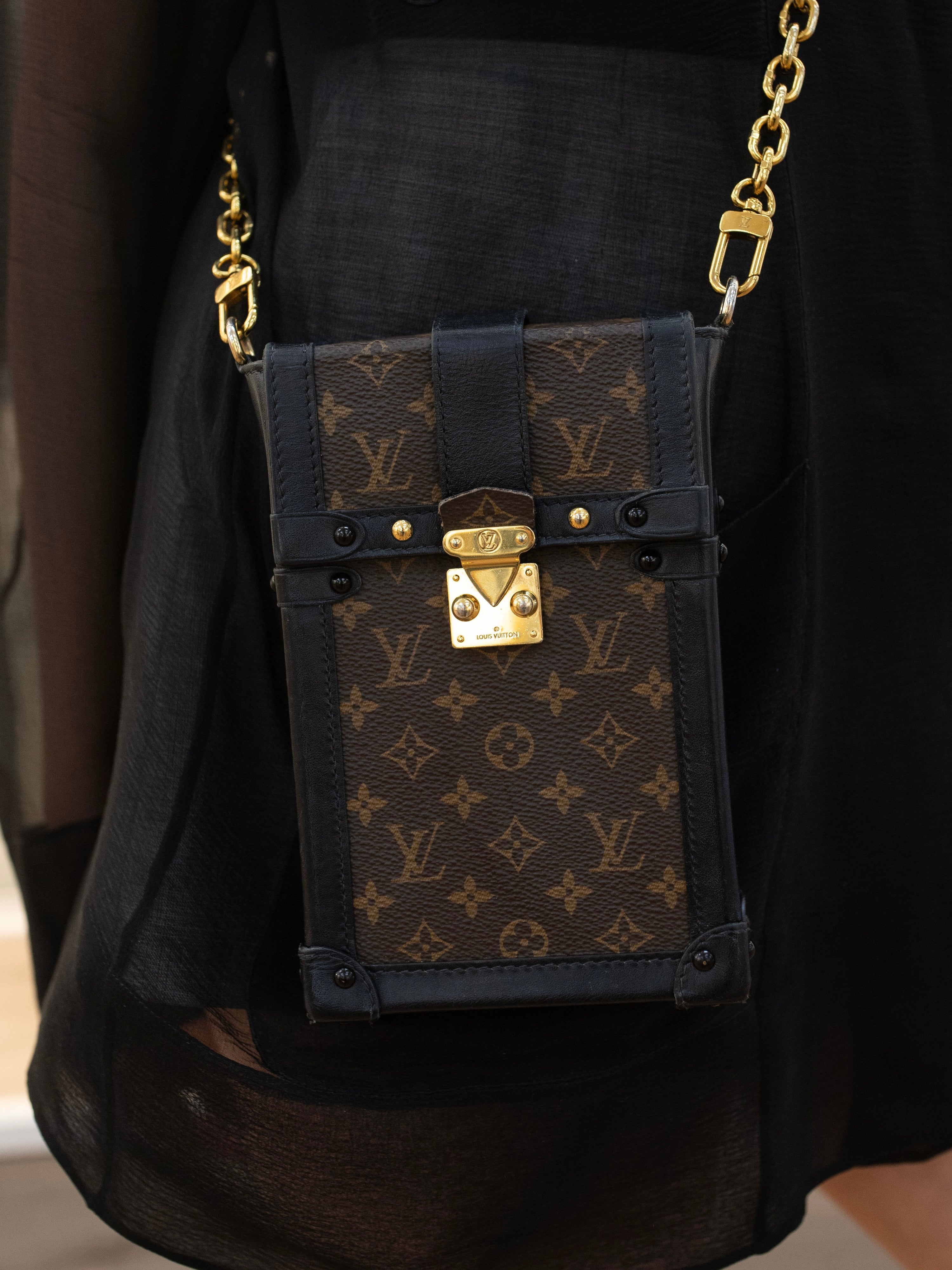 Louis Vuitton monogram Vertical Trunk Pochette.