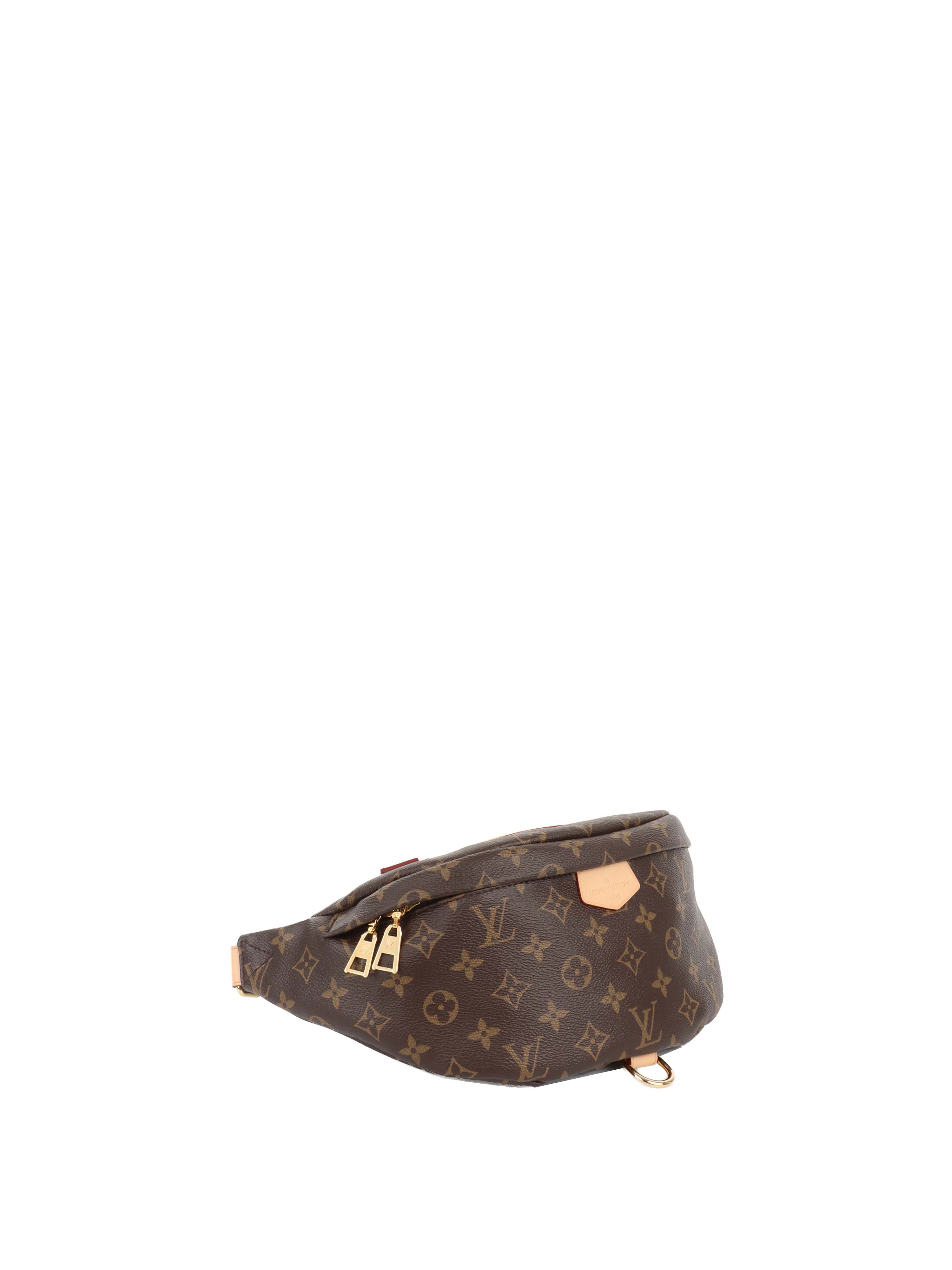 Louis Vuitton Monogram BumBag.